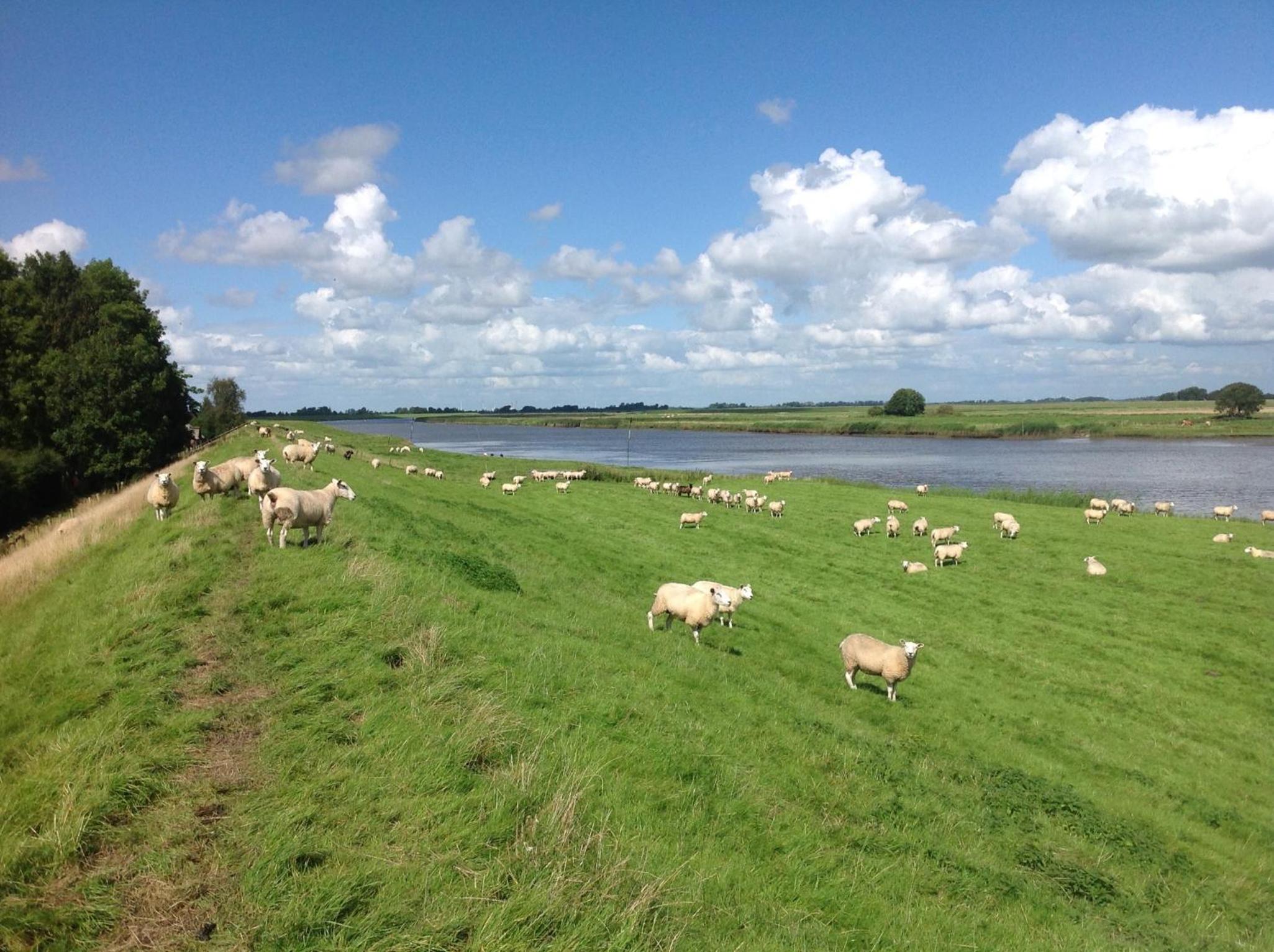 Ferienhaus-Hemmerdeich an der Eider