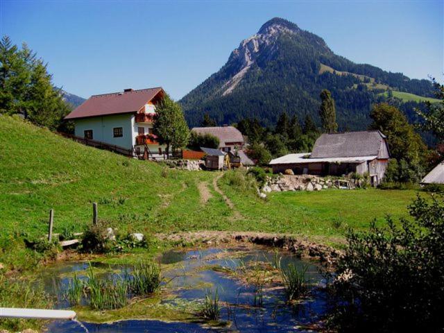 Ferienwohnung Hierzegger view 5
