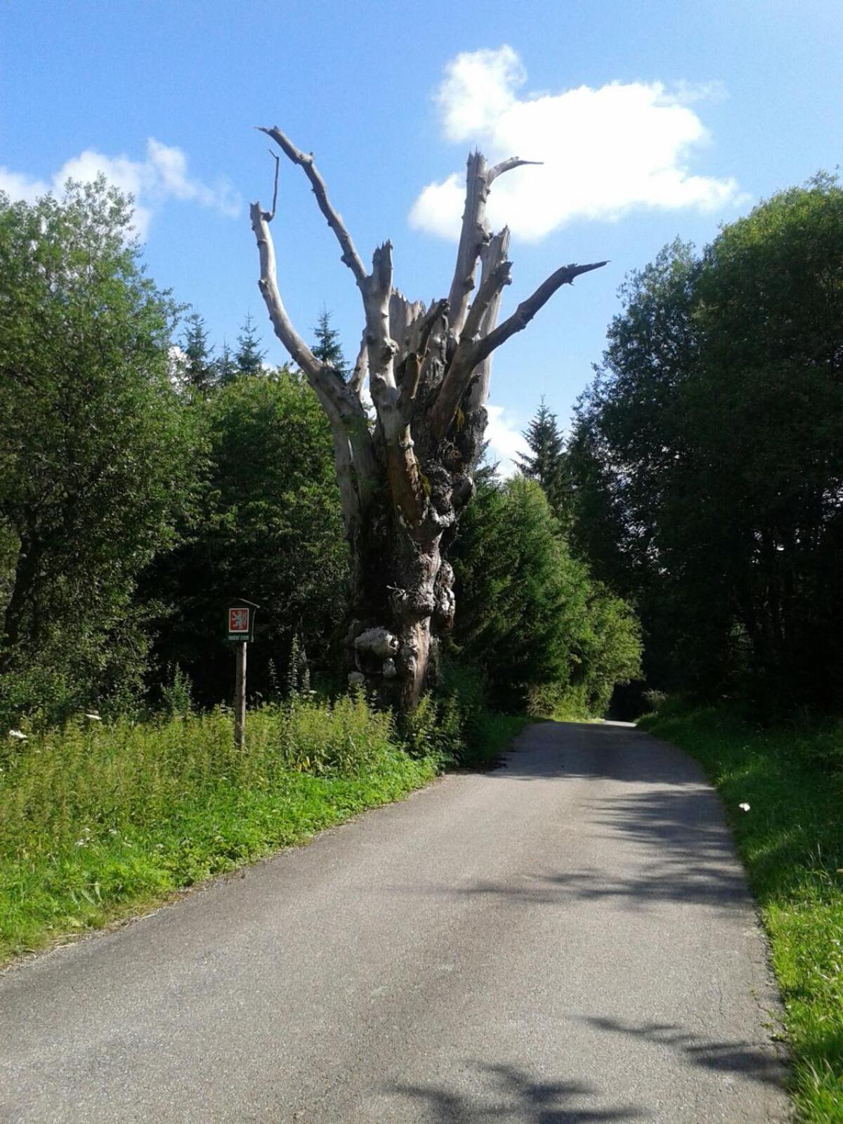 Photo 28