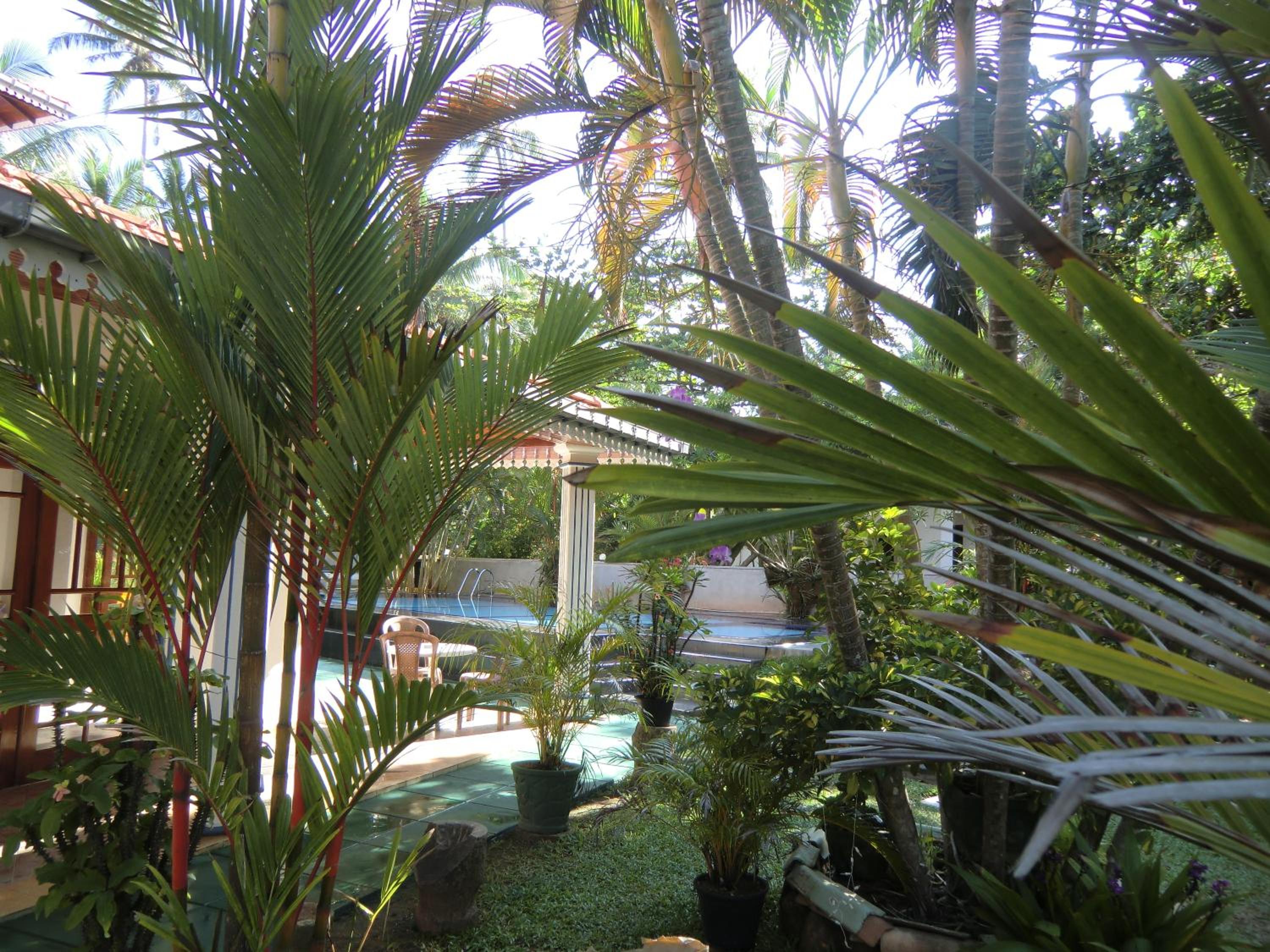 Photo 29