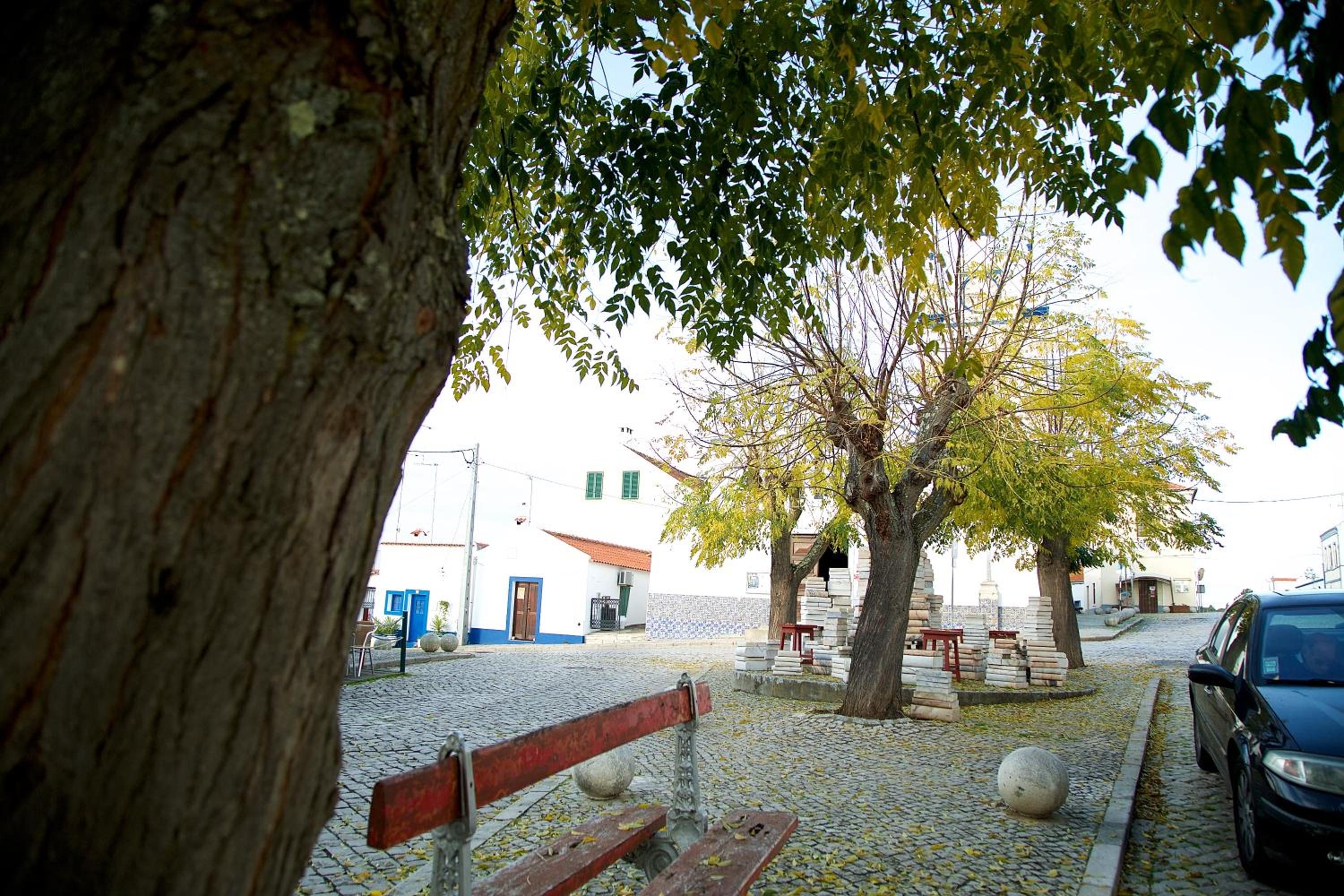 Photo 42