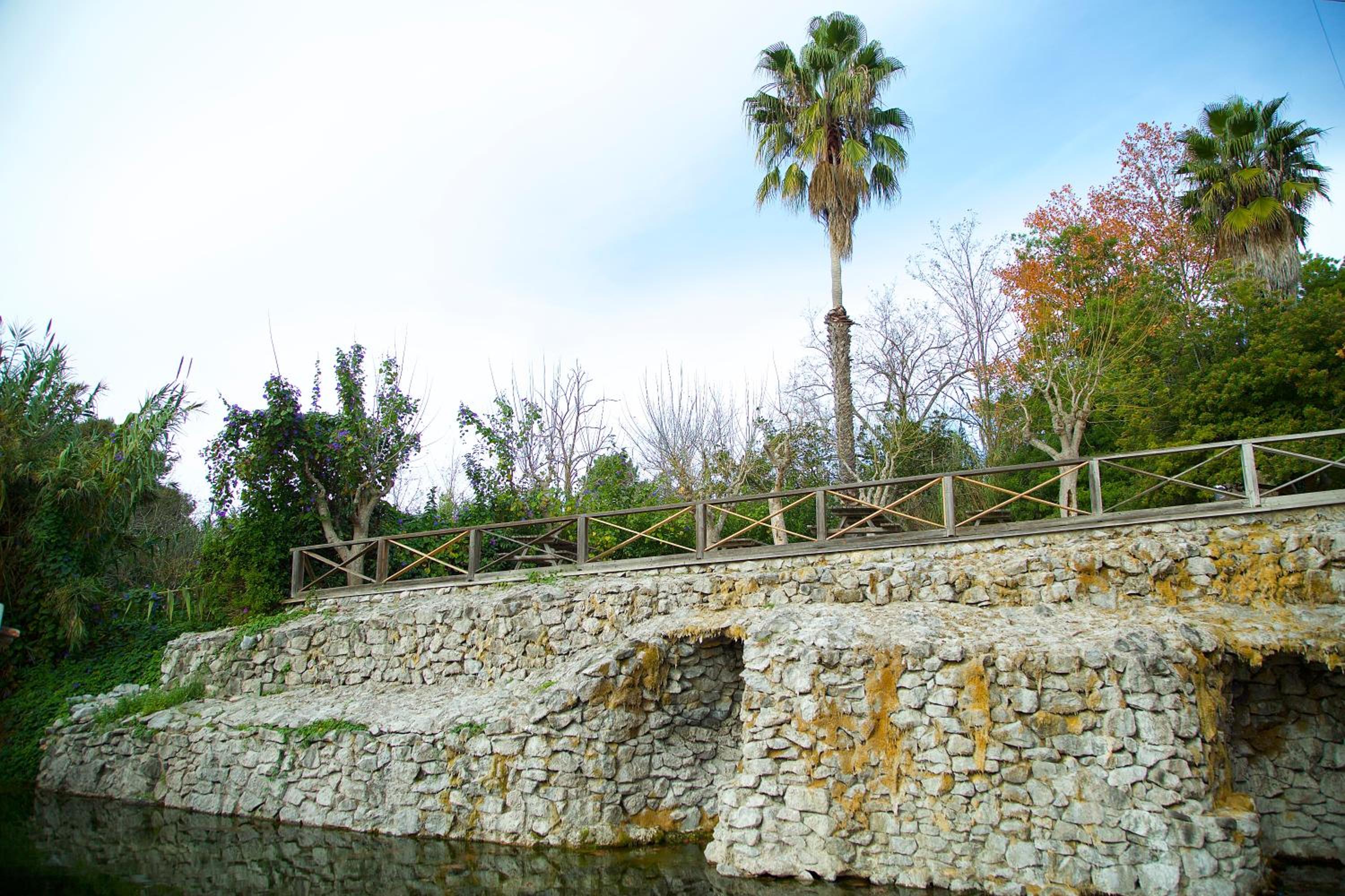 Photo 48