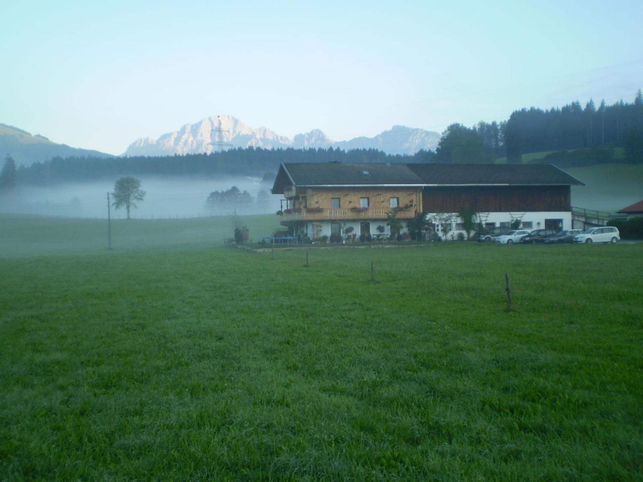 Photo 49
