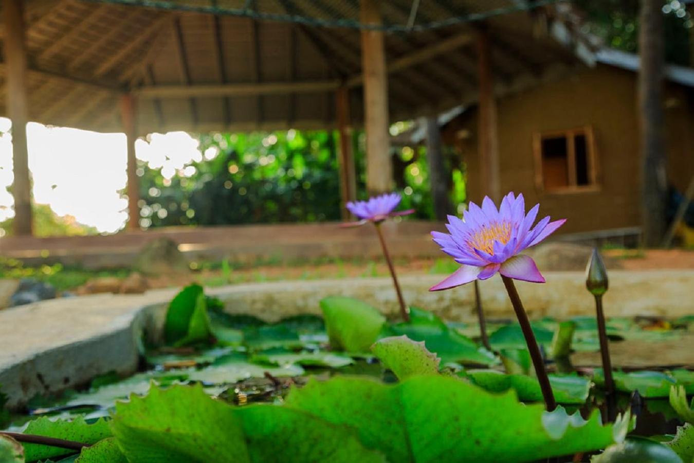 Sea Heart House on Koggala Lake