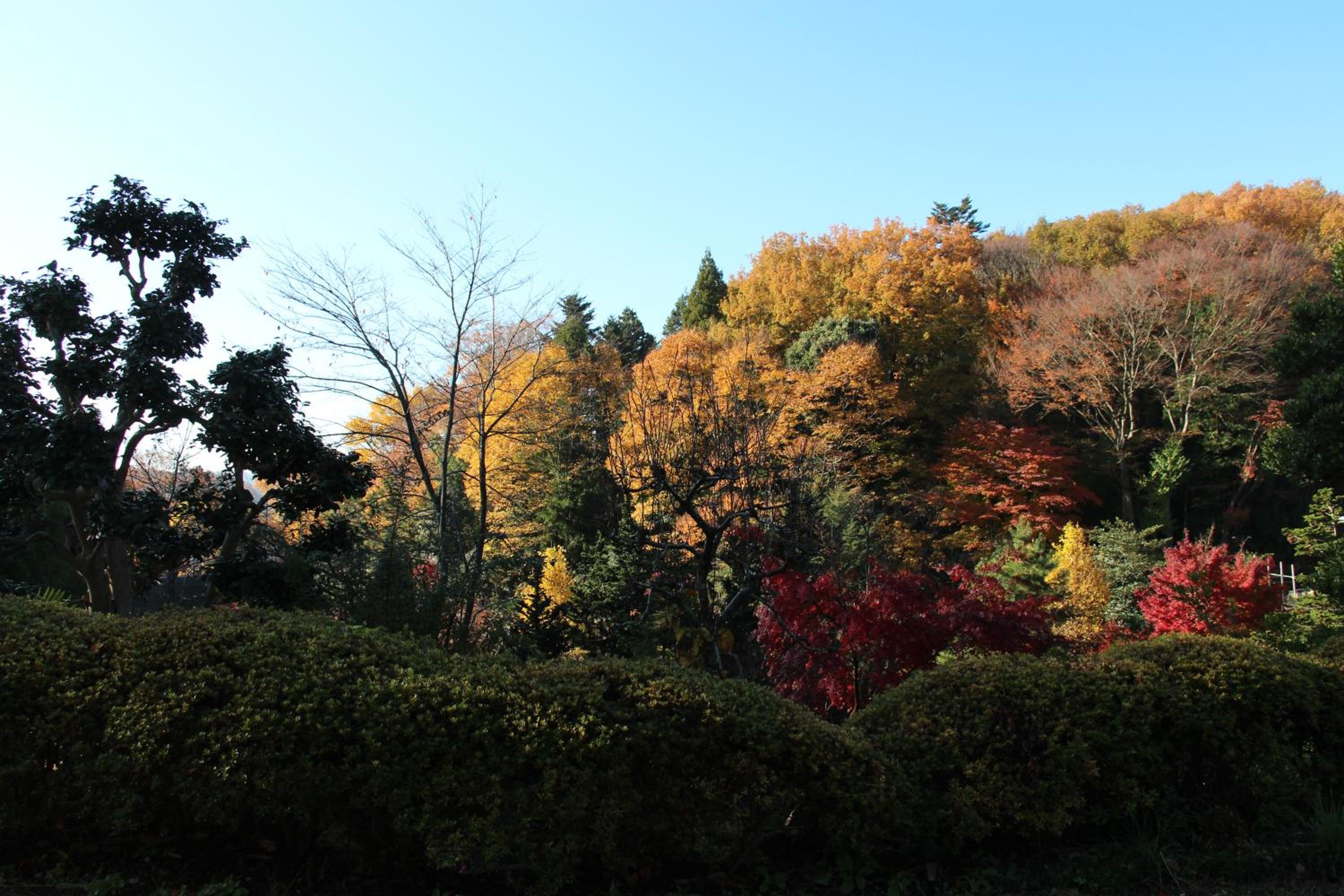Photo 40