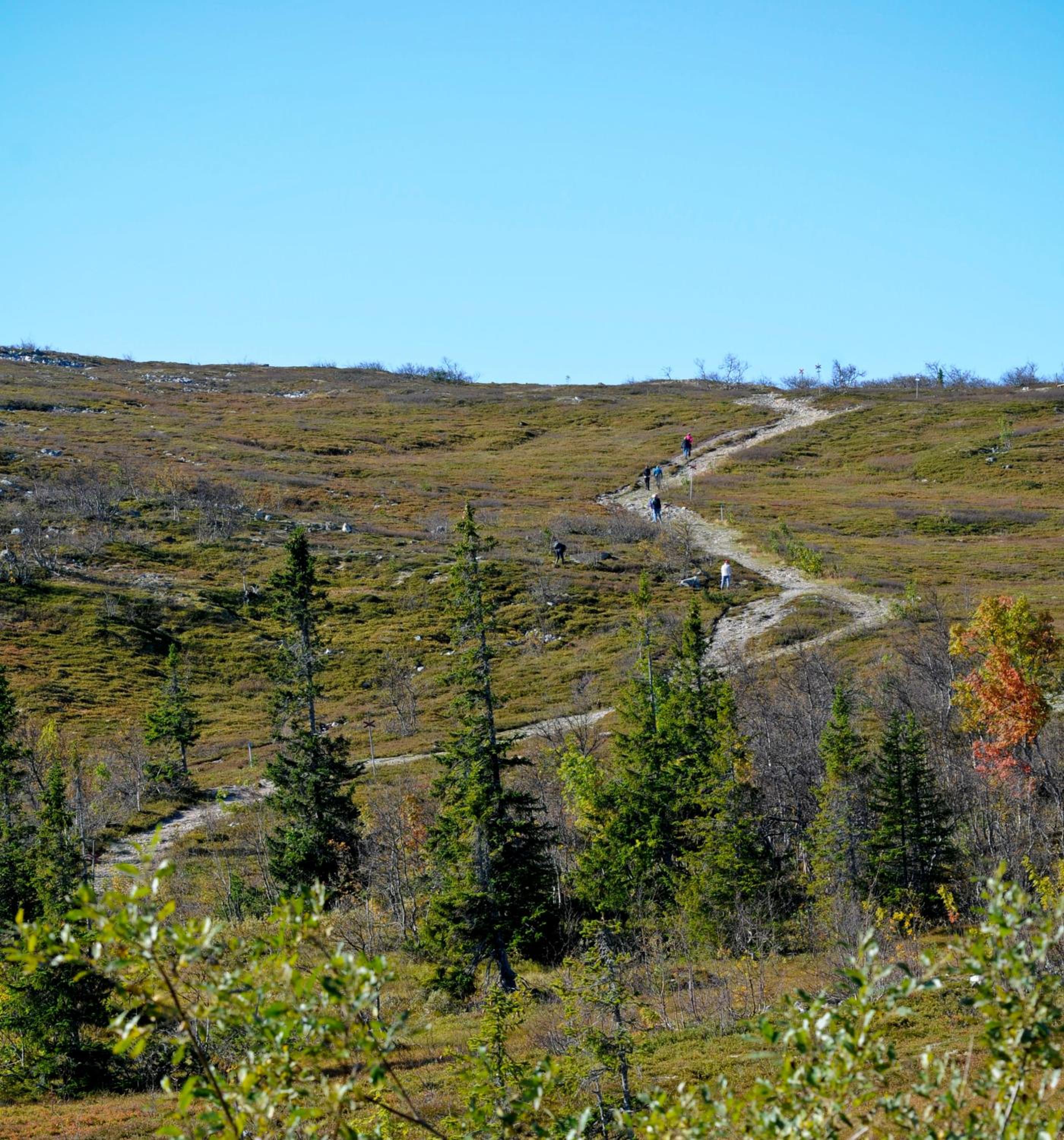 Photo 45