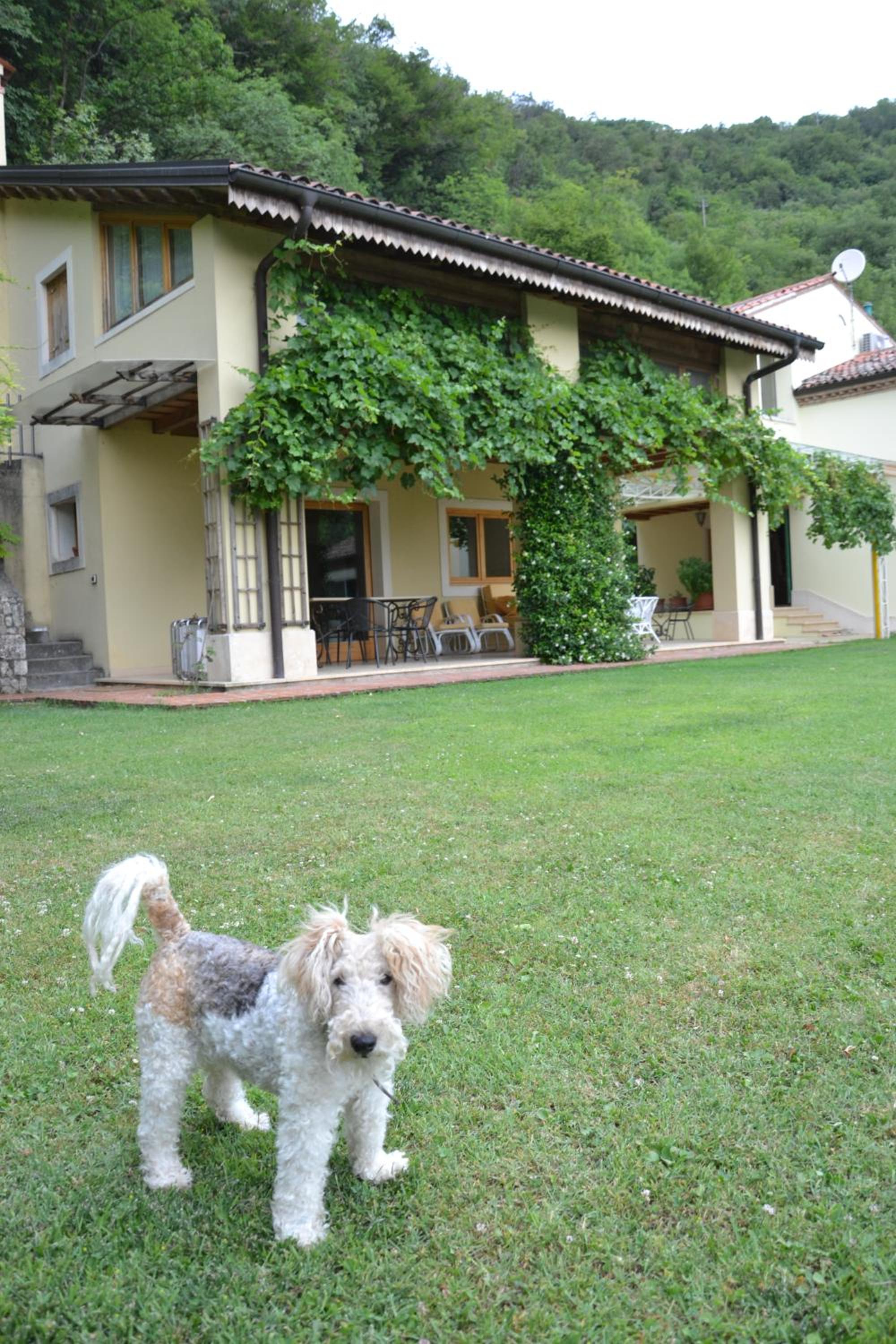 B&B Ca' dell'Ortolan view 5