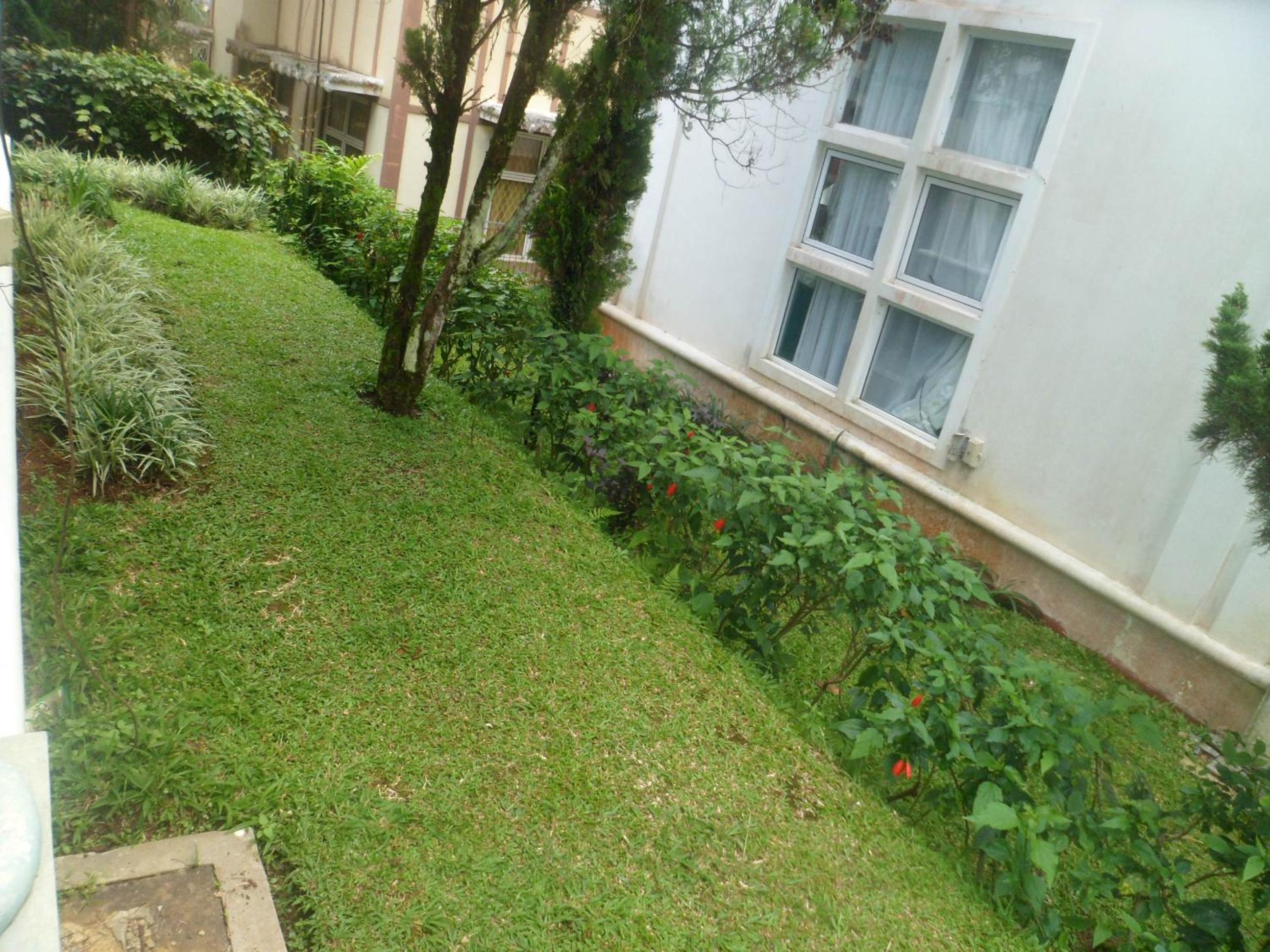 Photo 45