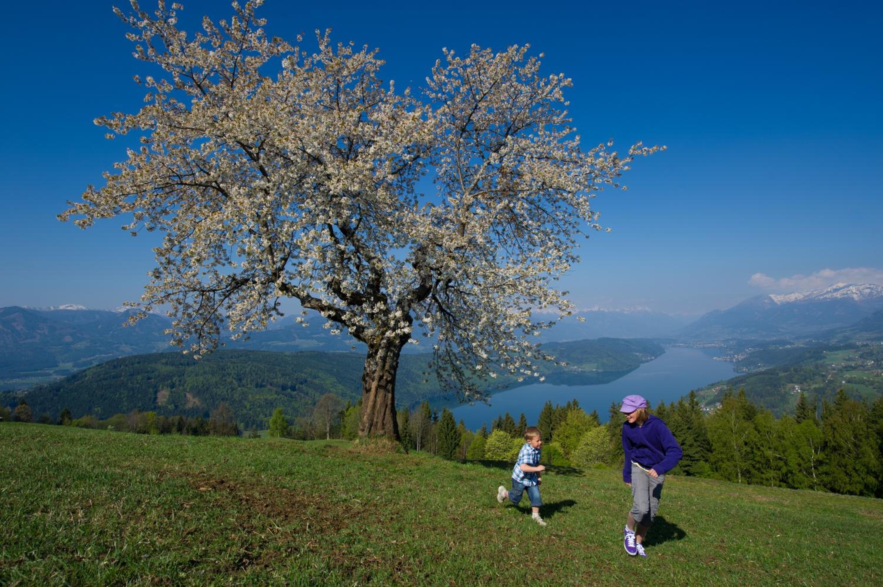 Pension Gertraud