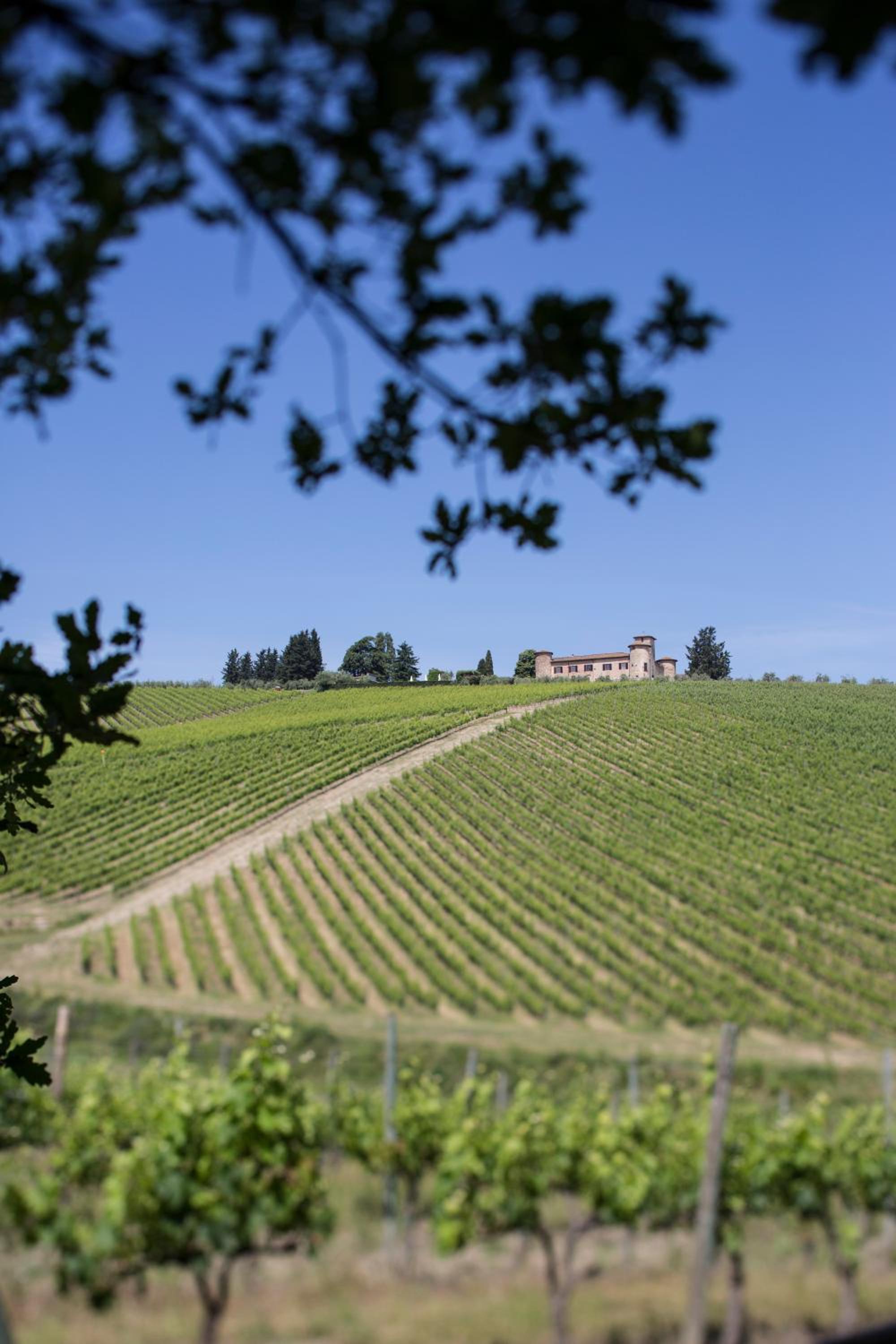 Castello Di Gabbiano