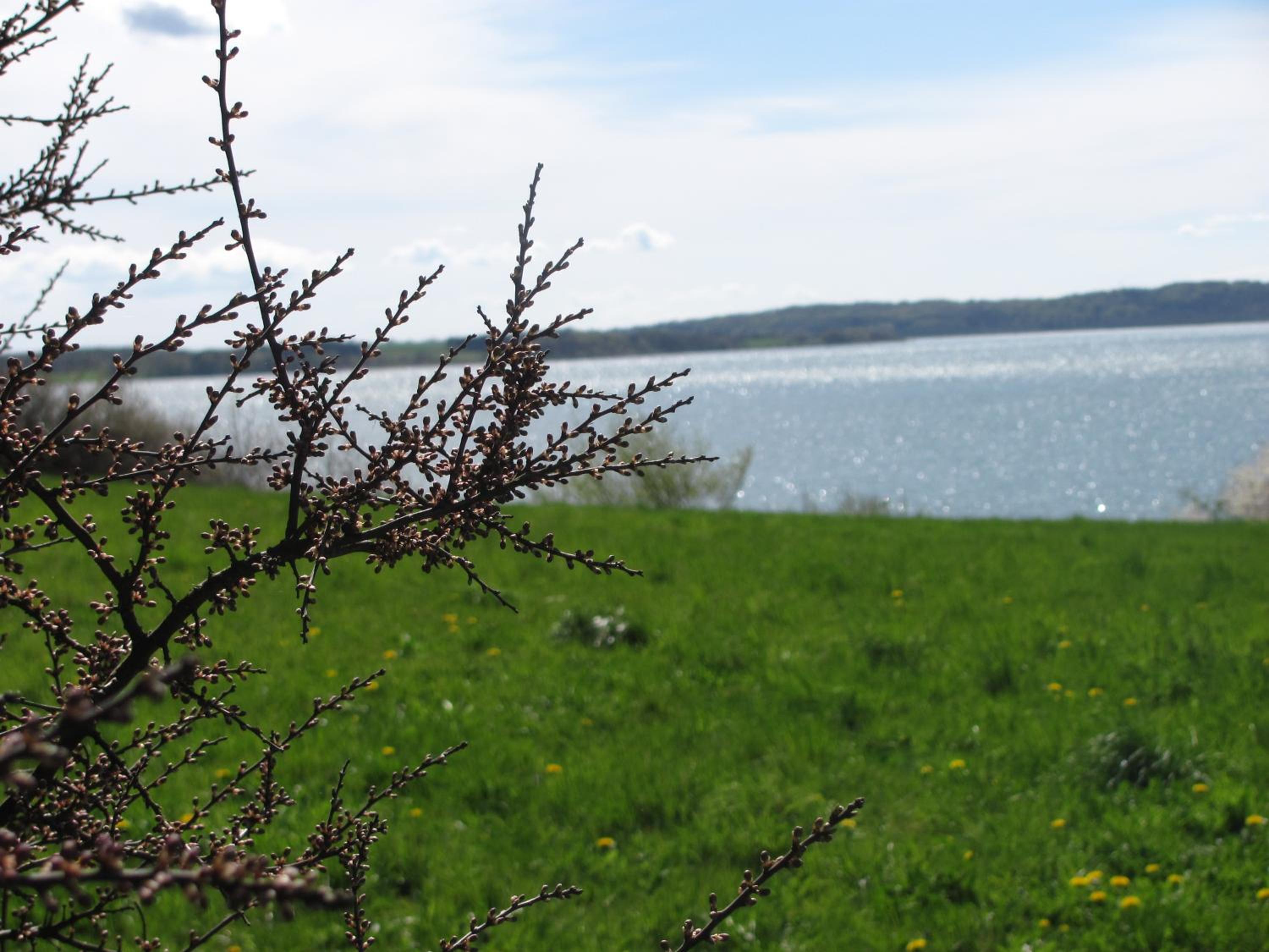 Tisvildehegn BandB view 5