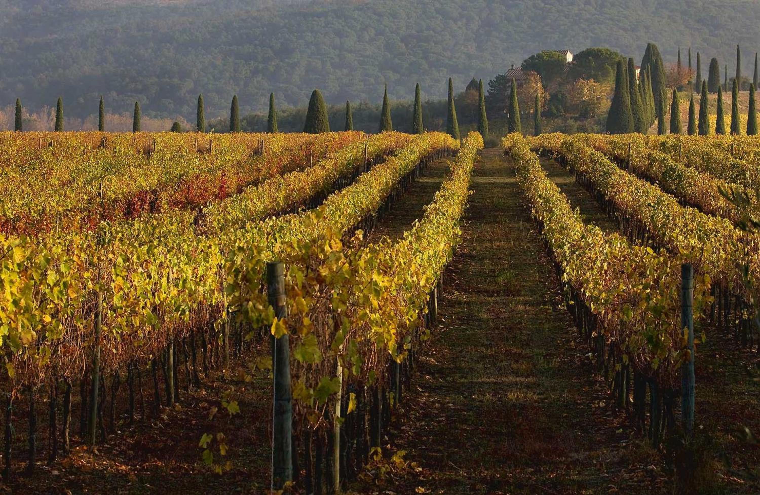 Castello Di Gabbiano