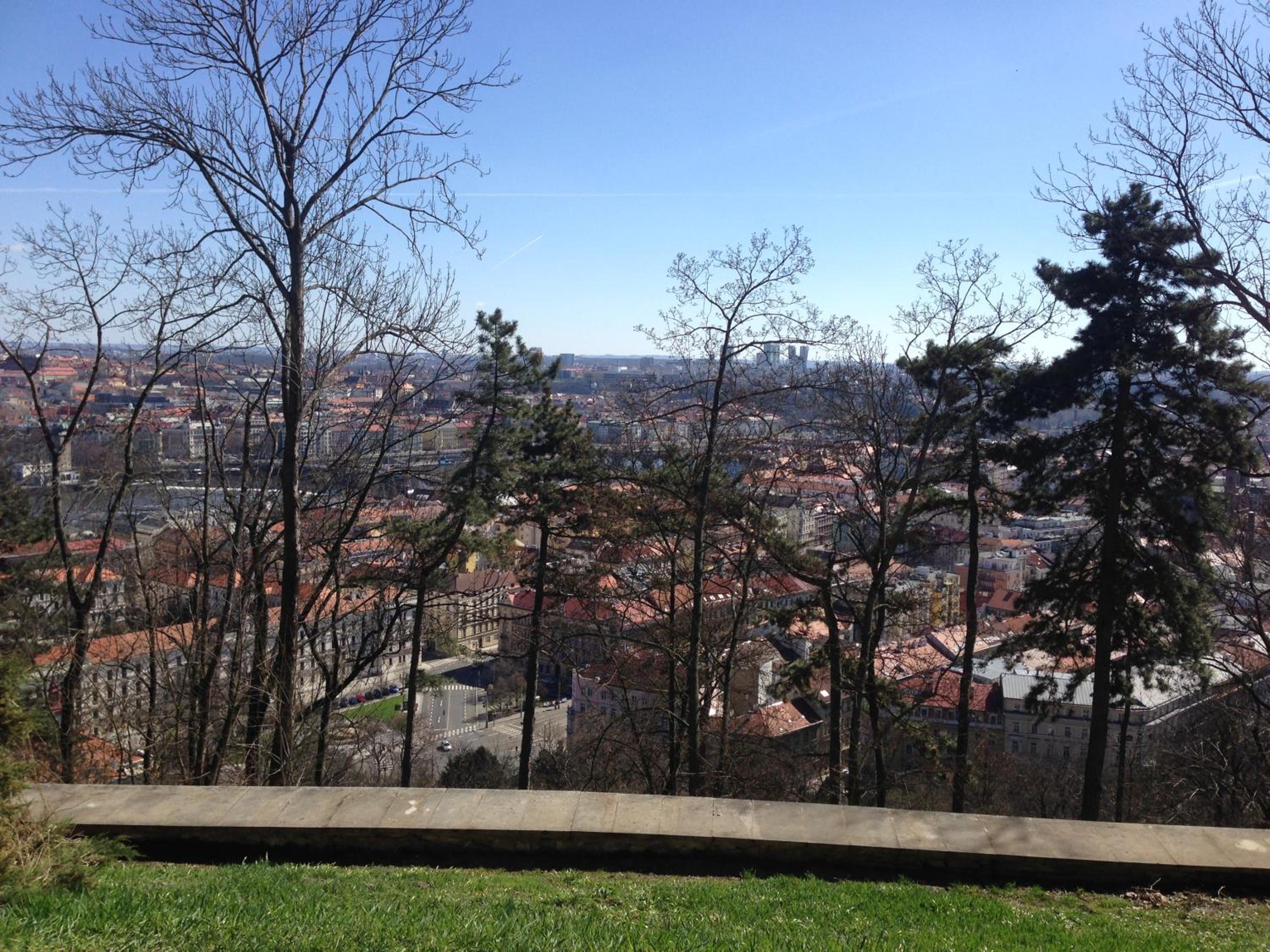 Exclusive apartment on Zborovska