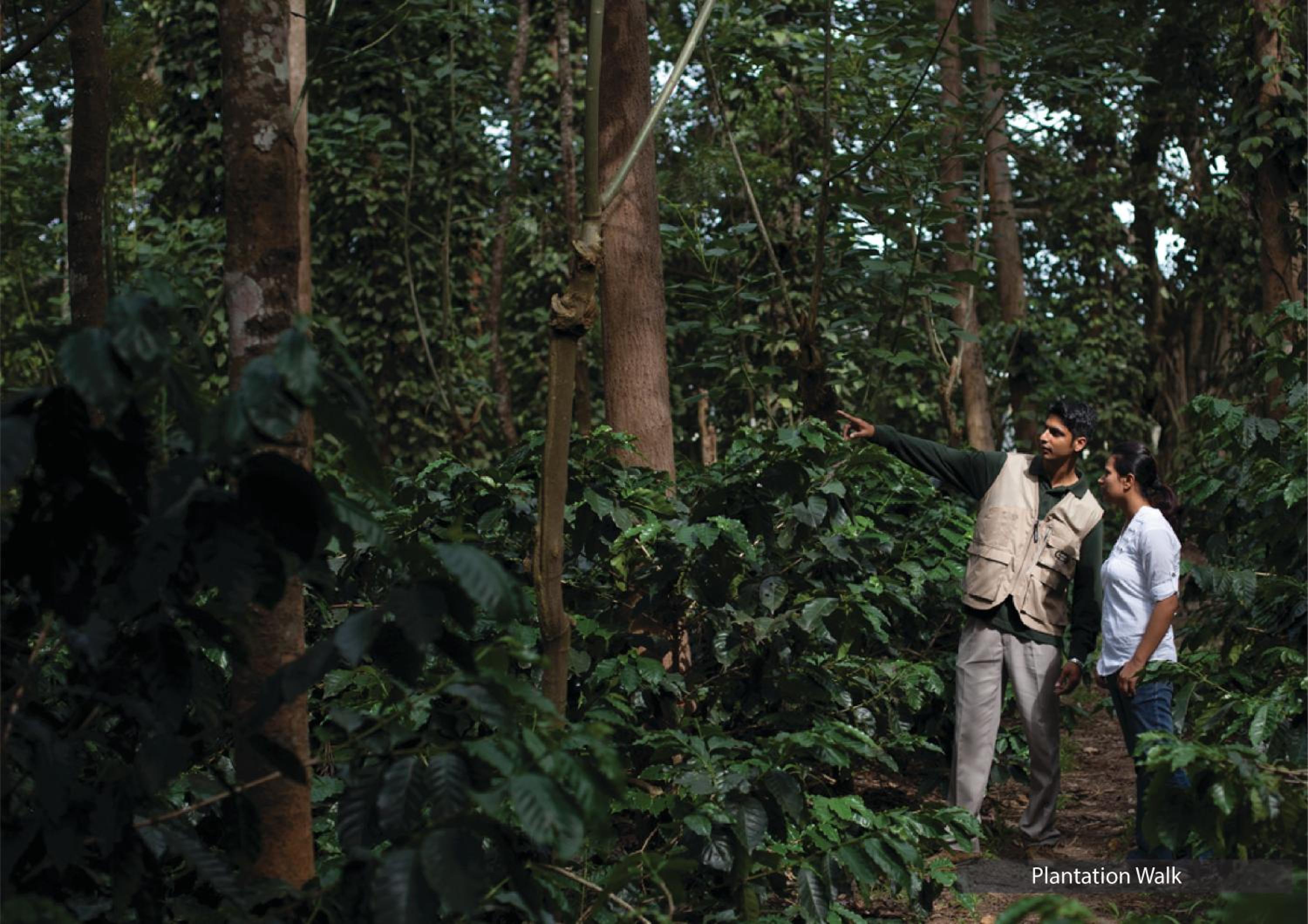 The Serai Chikmagalur The Serai Chikmagalur