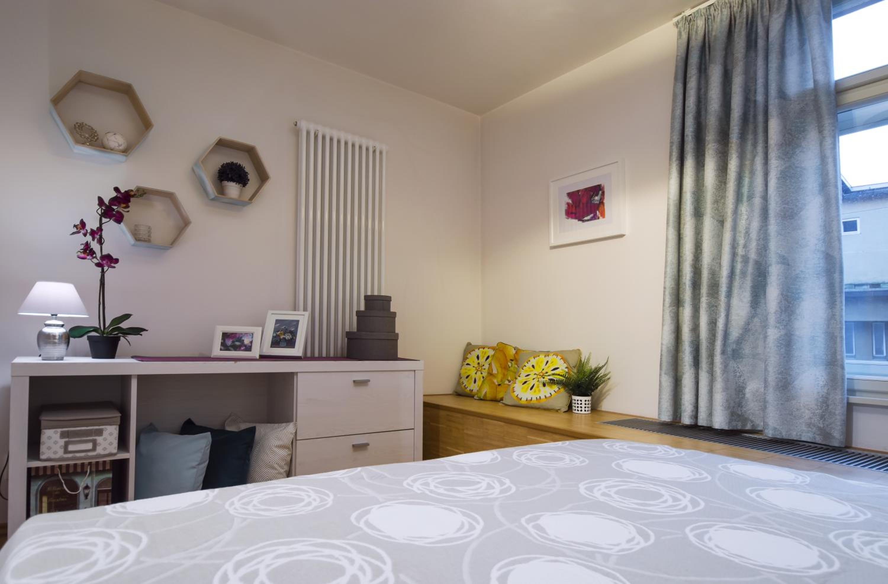 Modern Apartment Charvátova