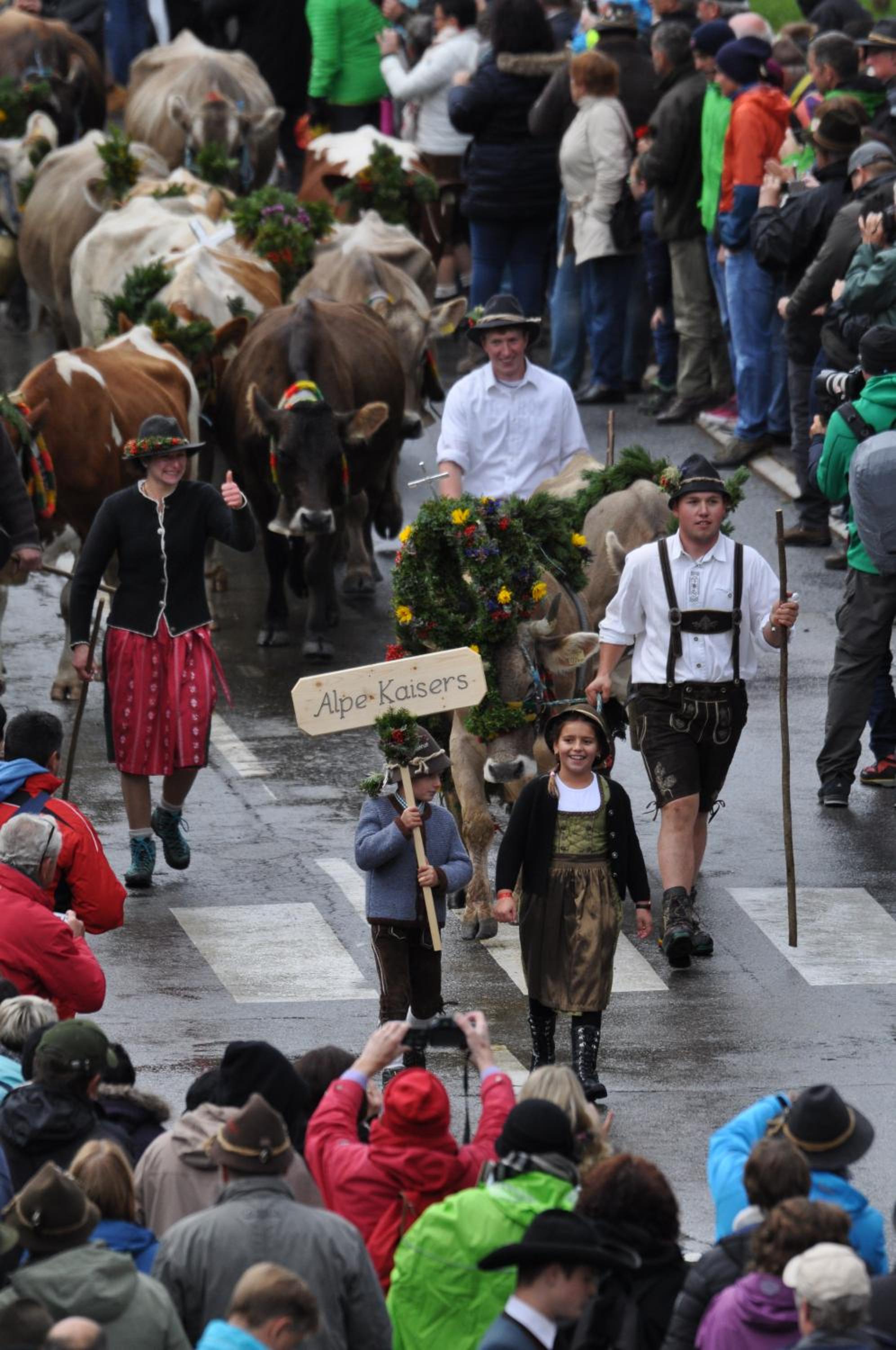 Pension Alpenblick