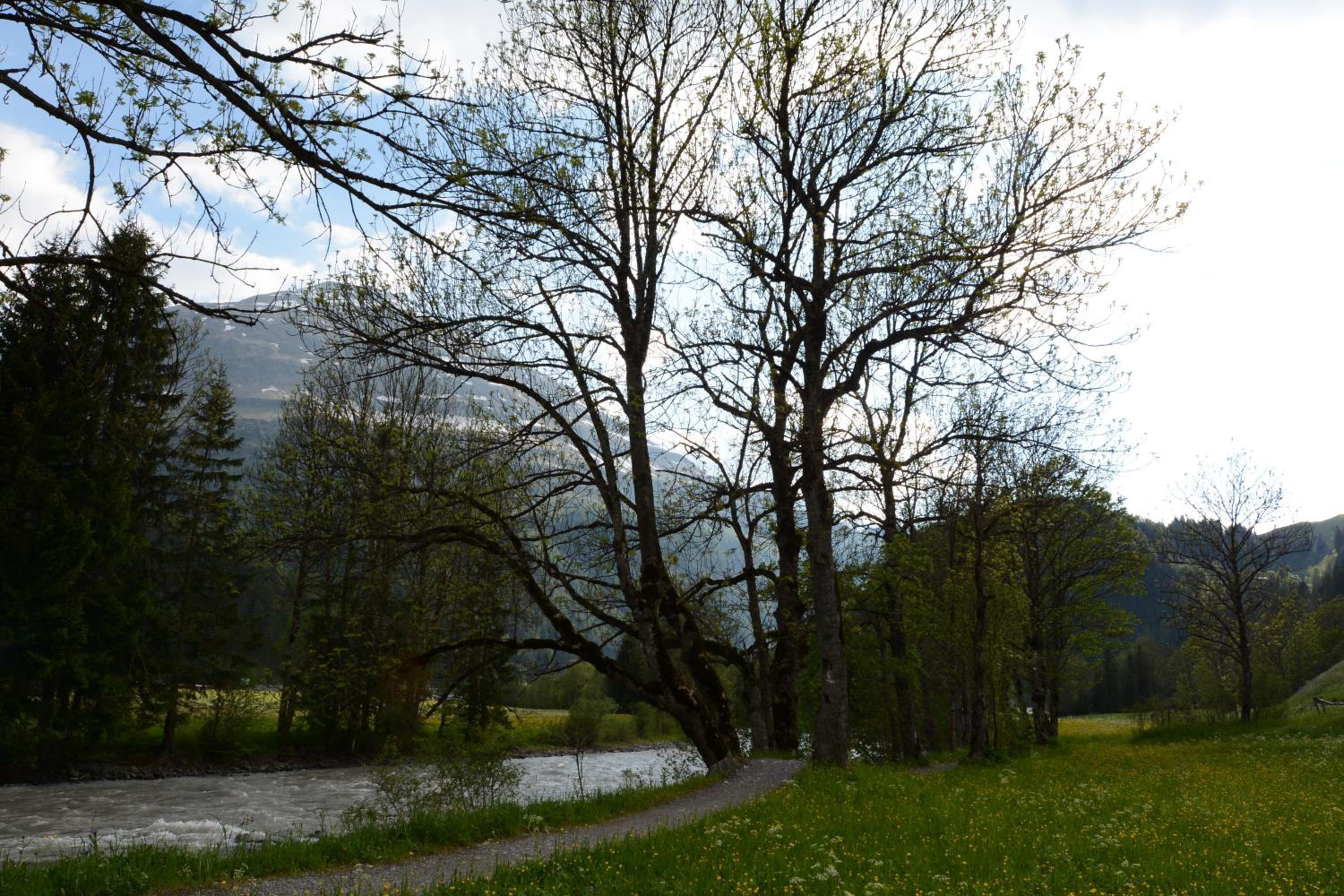 Pension Alpenblick