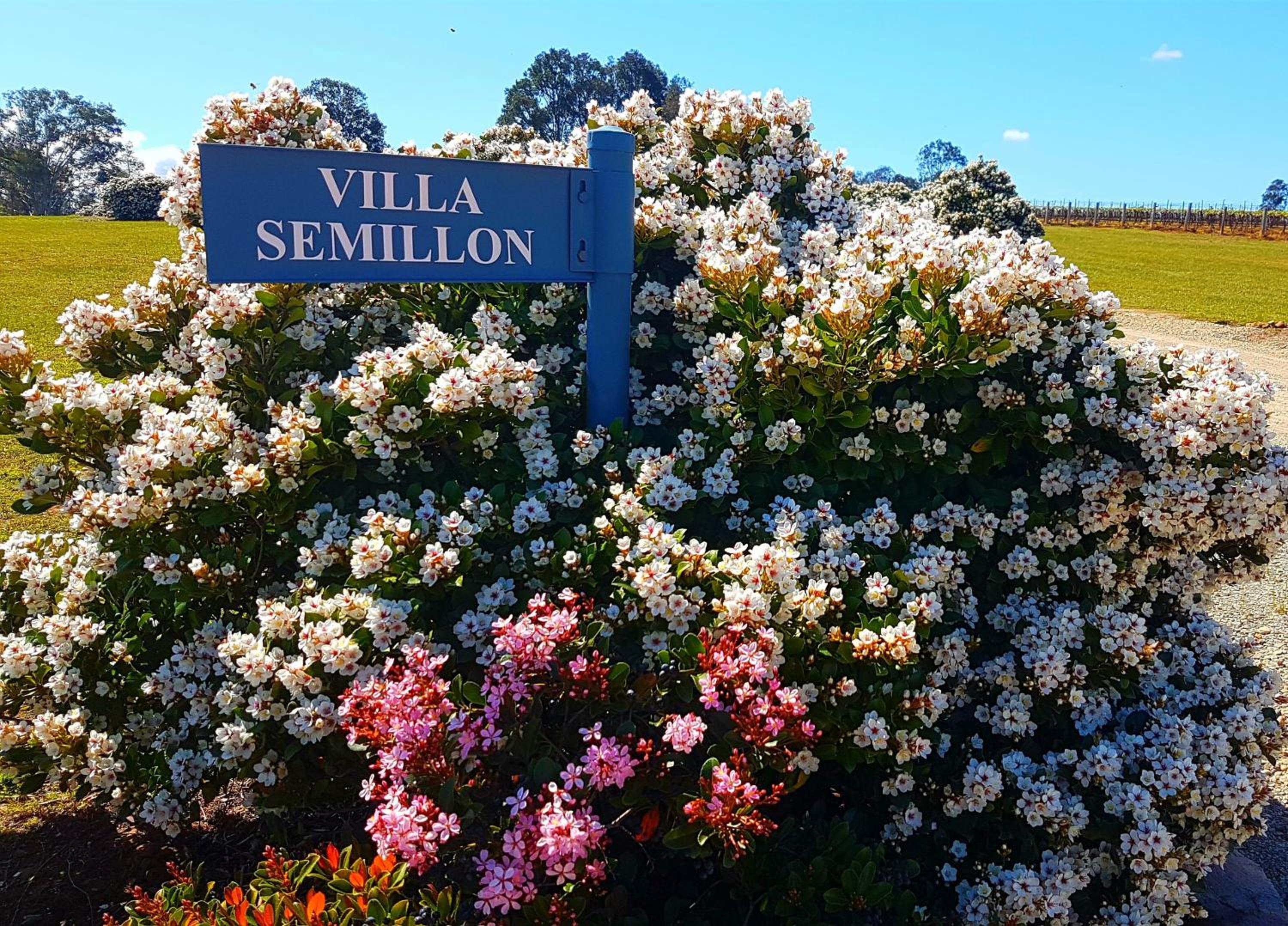 Red Door Collective - RDC Vineyard Estate, Luxury Adult Only Stay