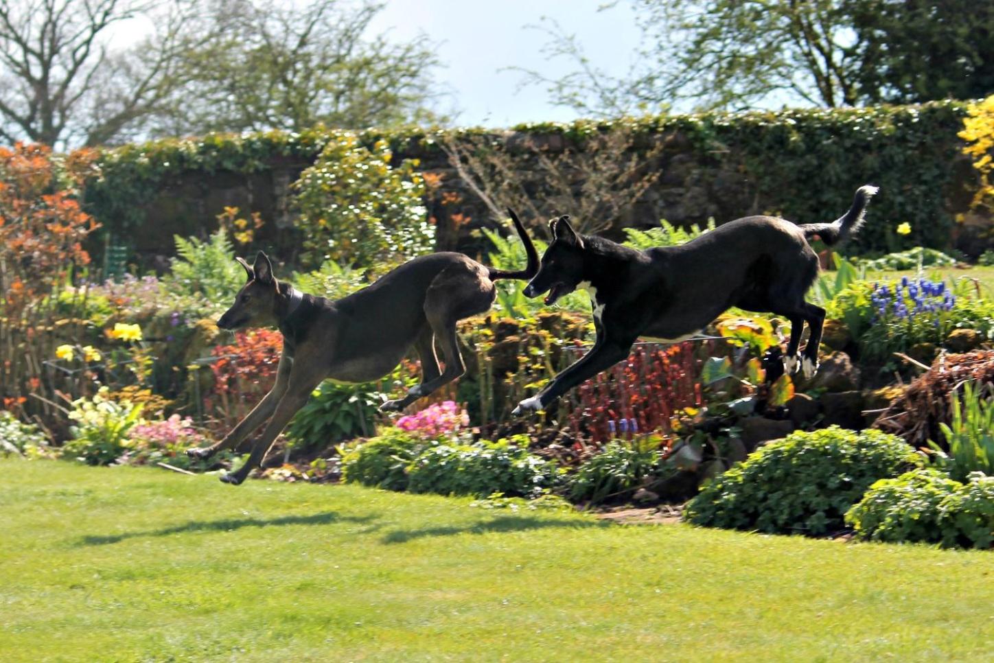 Church Farm B&B near Telford and Ironbridge