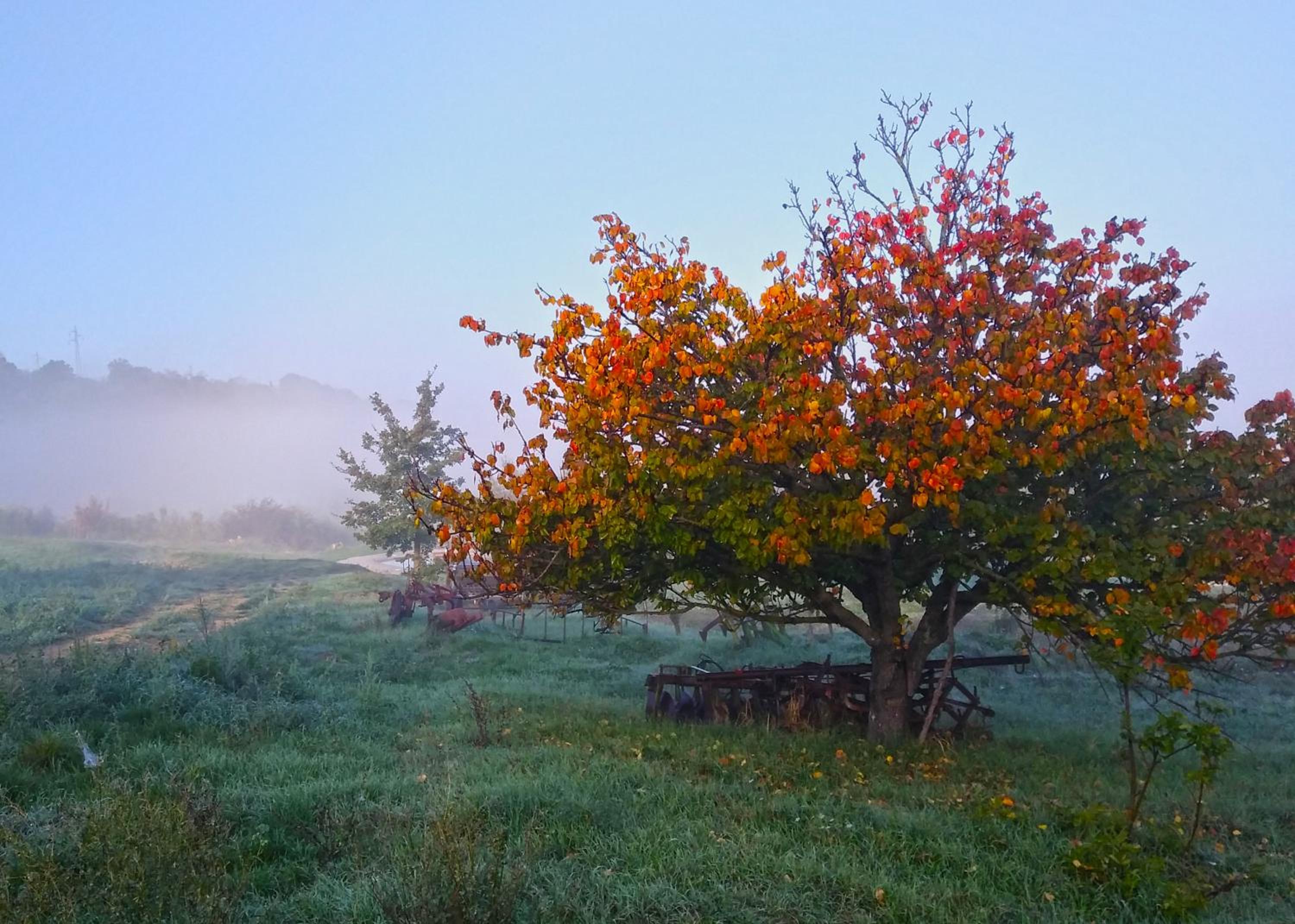 Agriturismo Le Canterie