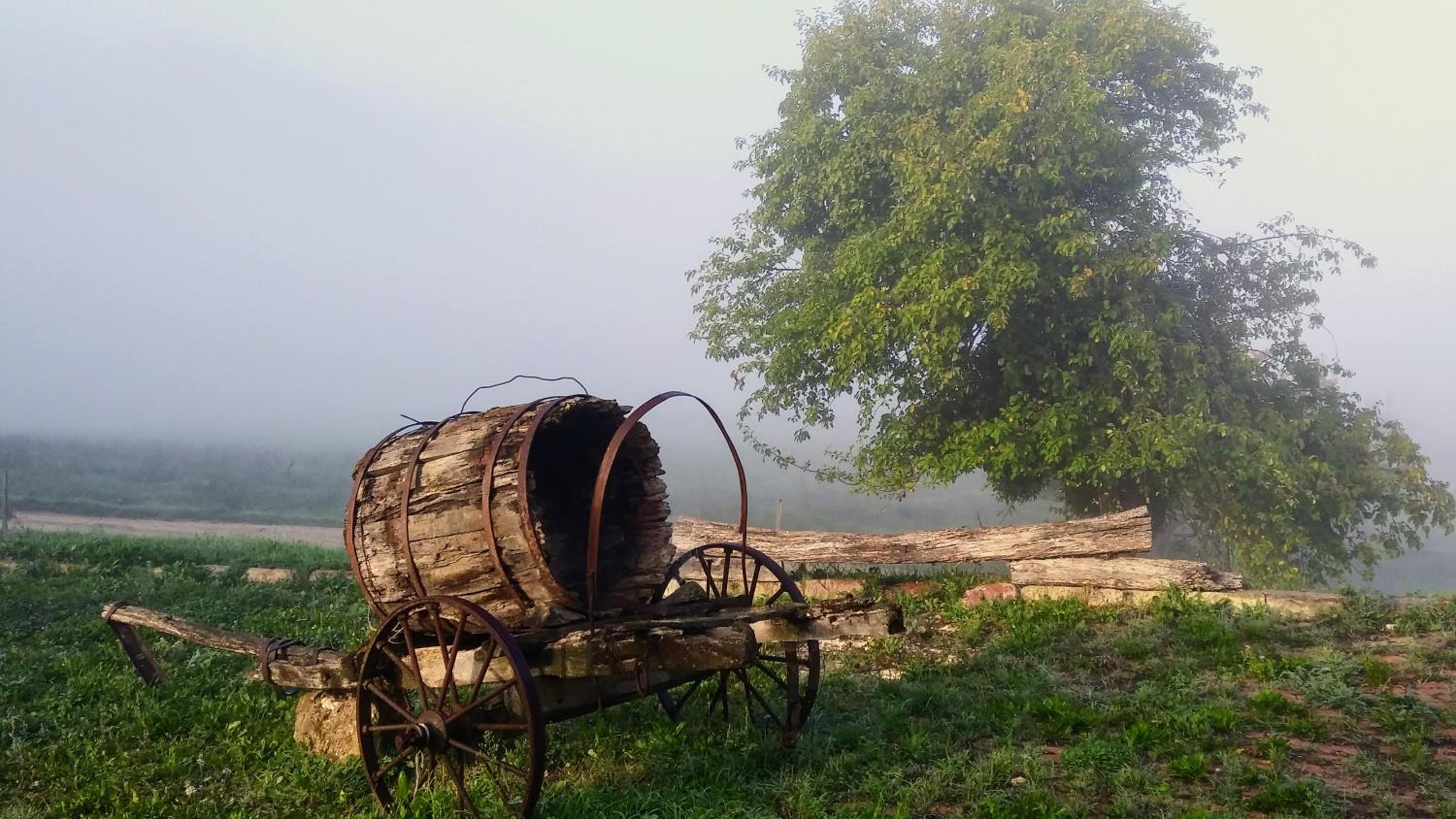 Agriturismo Le Canterie