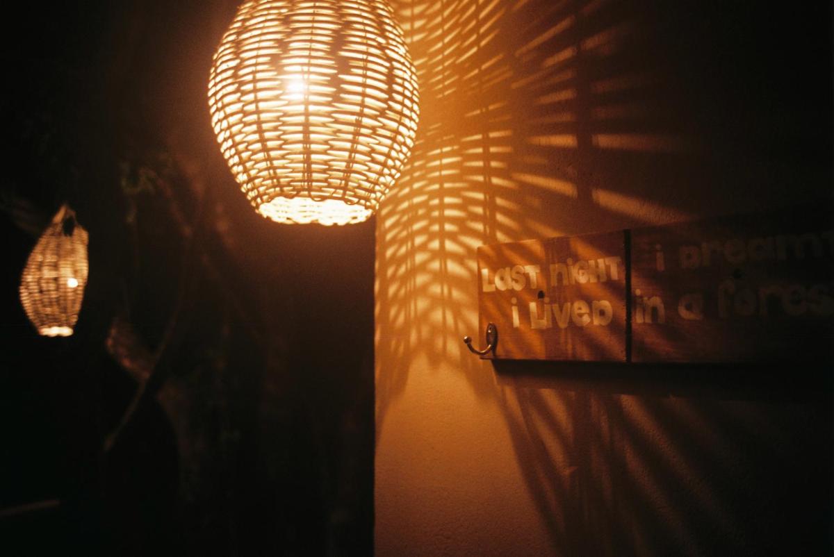 Photo 44