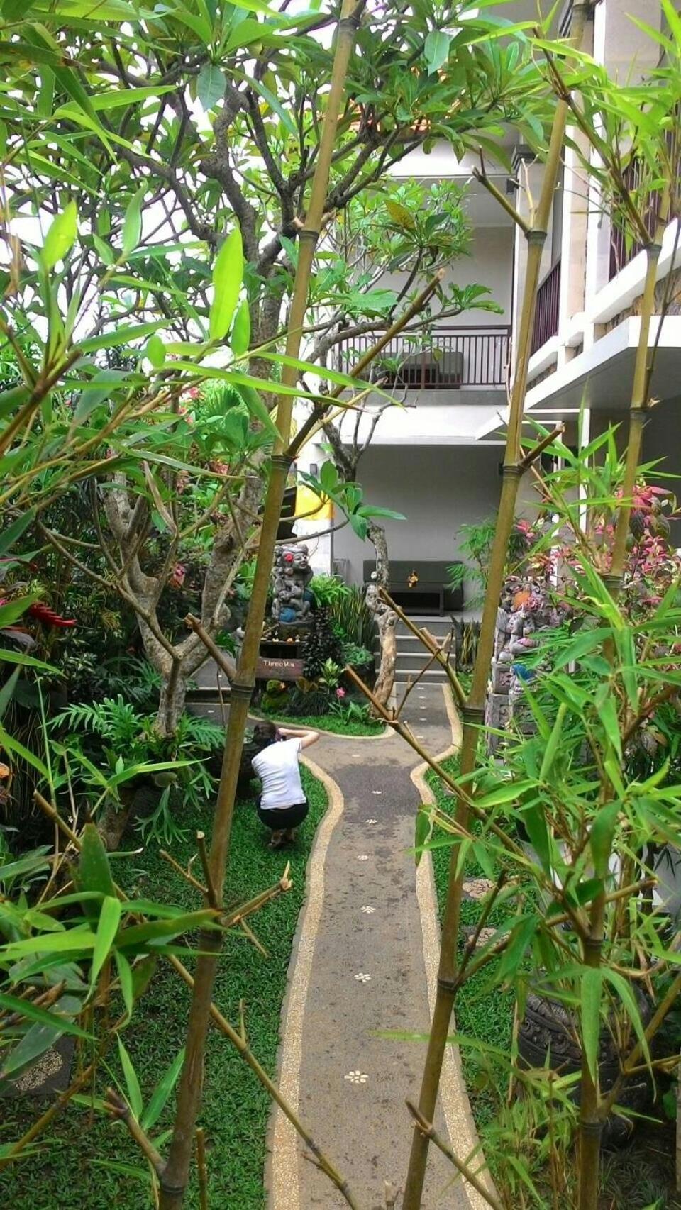 Photo 15