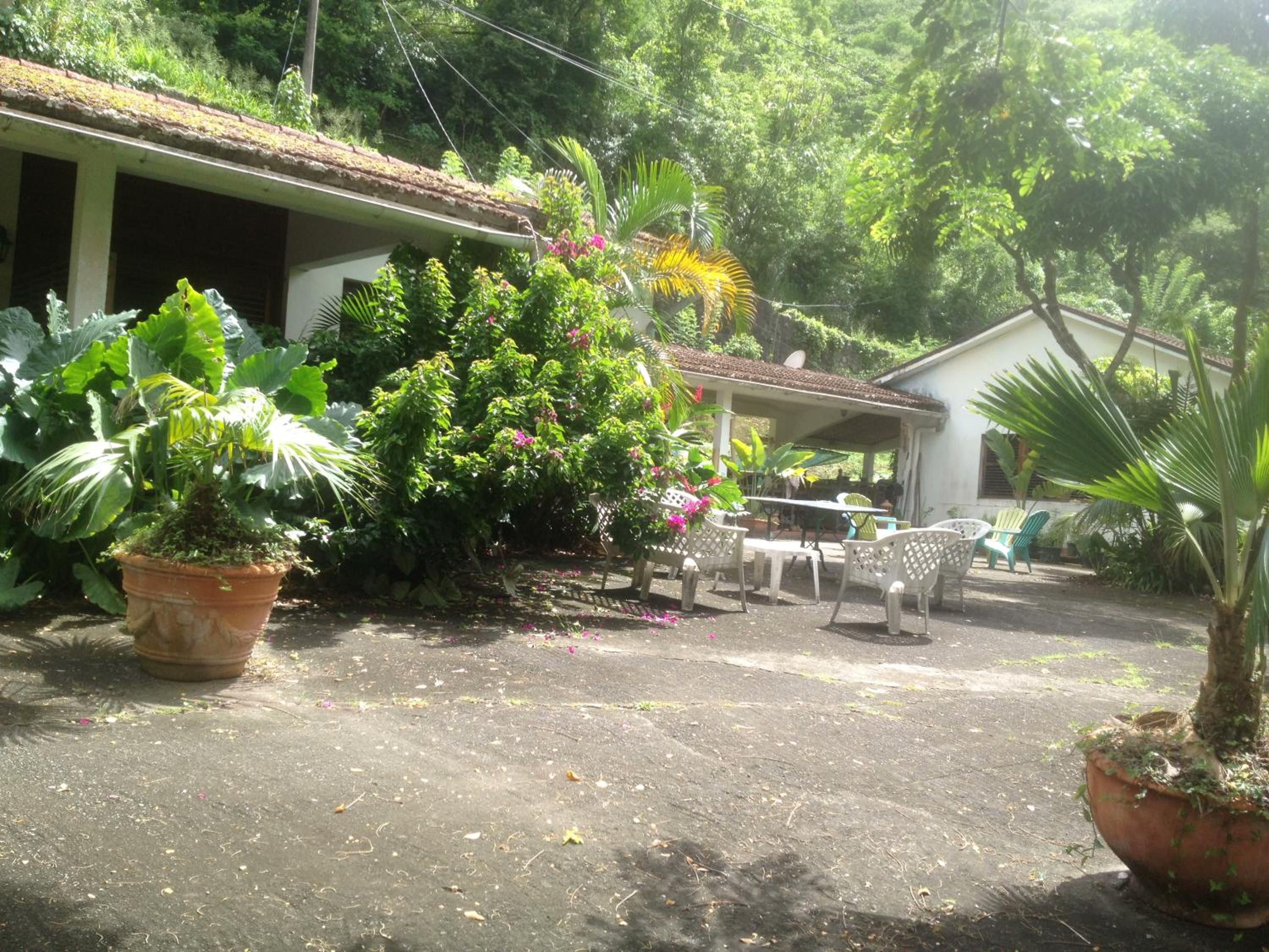 Photo 46