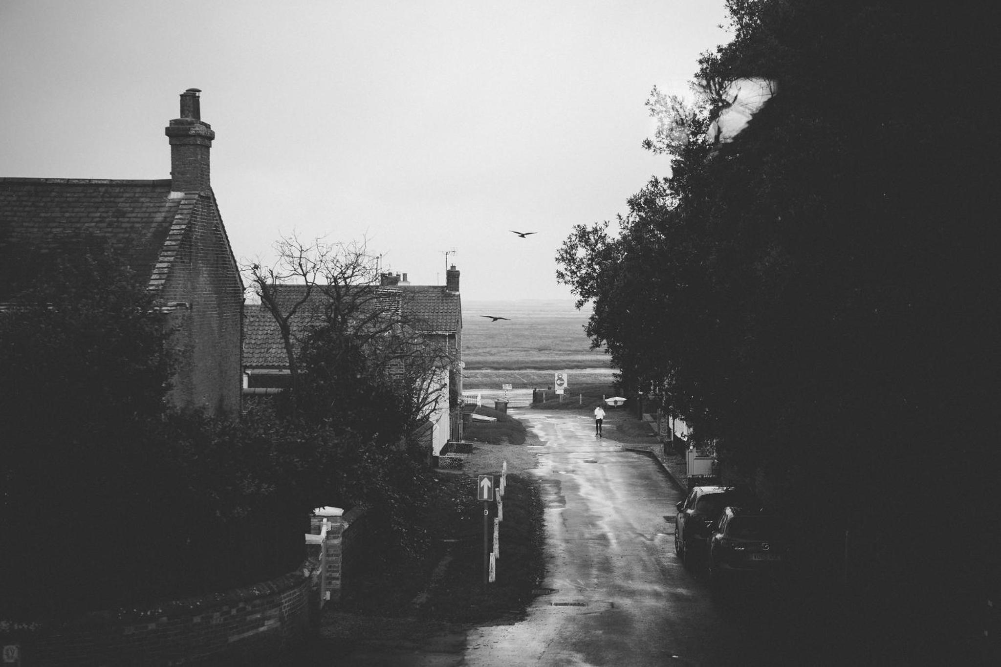 Photo 42