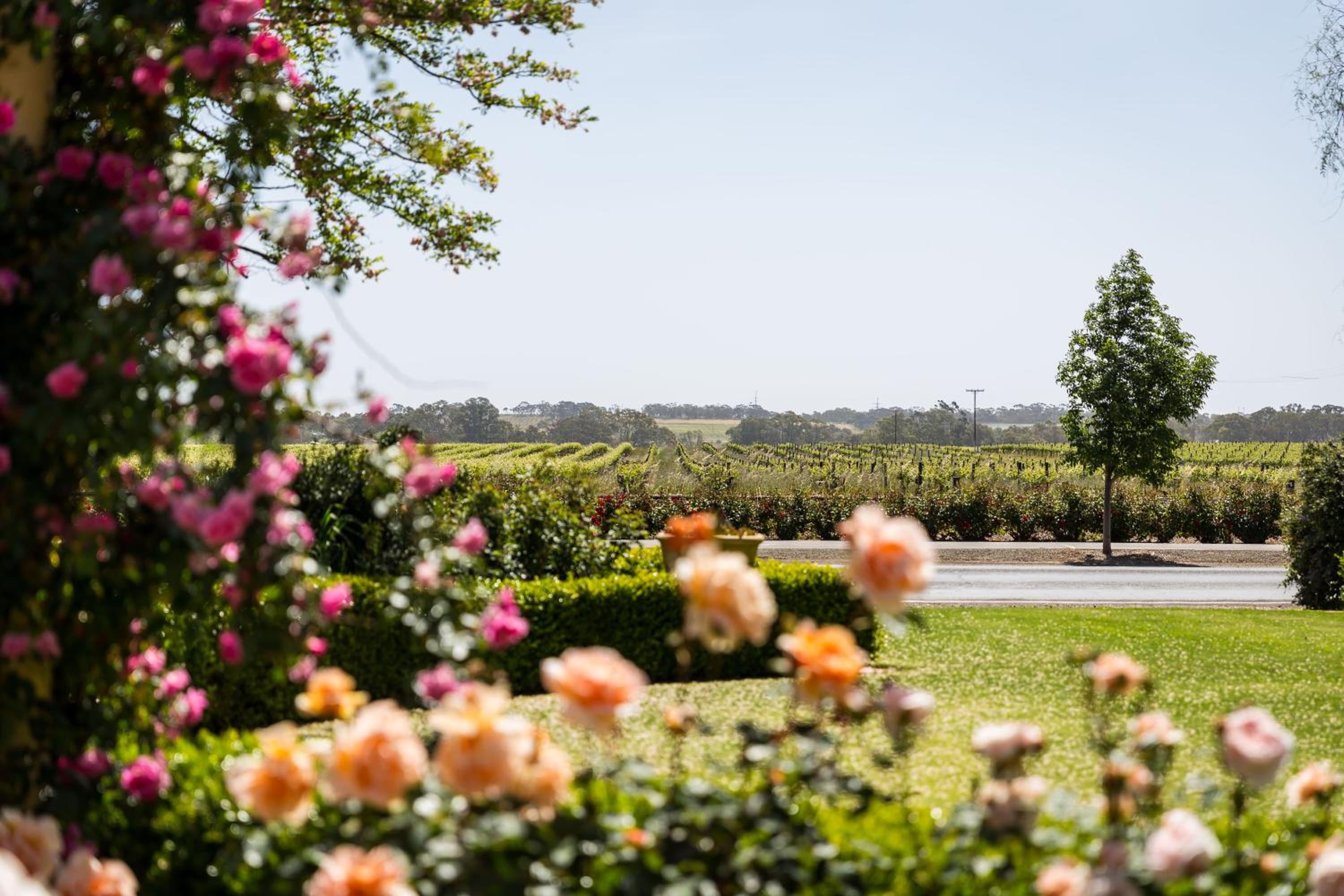 Barossa House