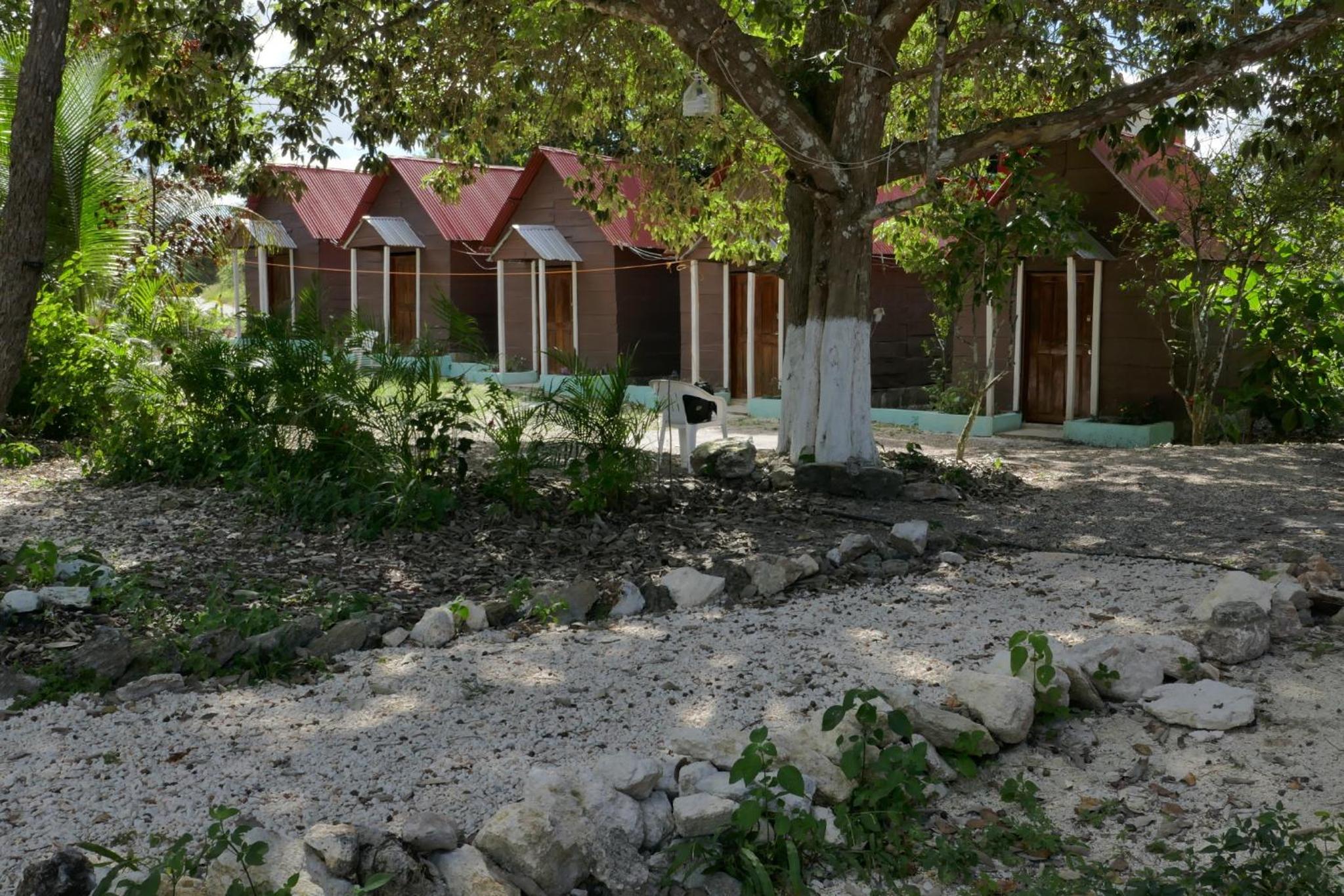 Photo 45