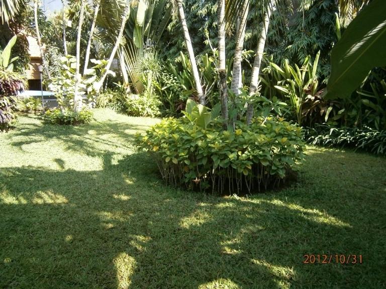 Adus Beach Inn