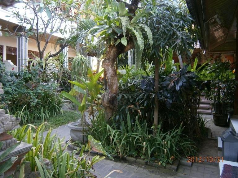 Adus Beach Inn