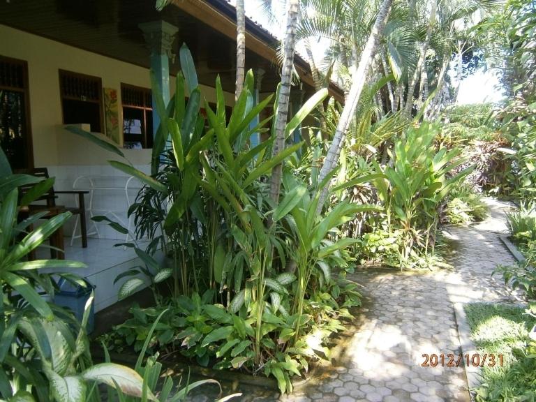 Adus Beach Inn