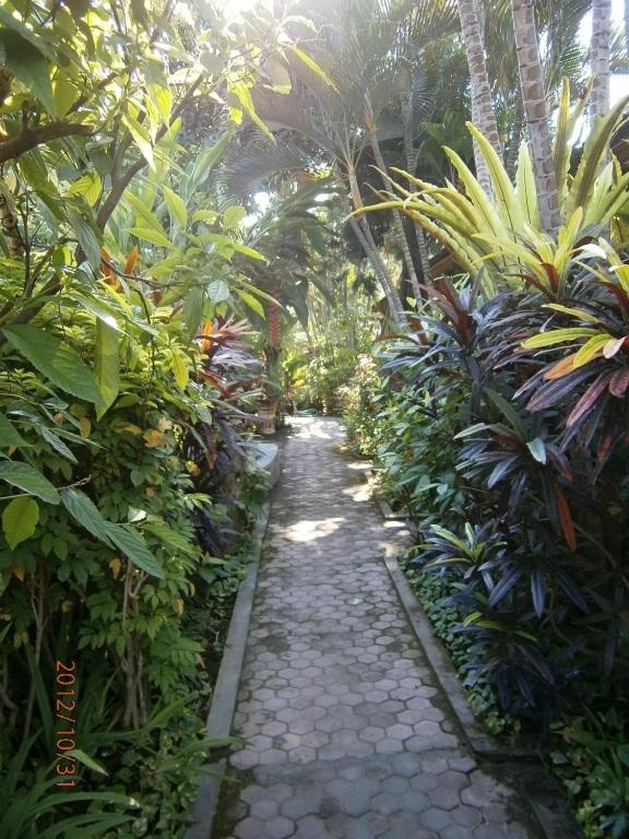Adus Beach Inn