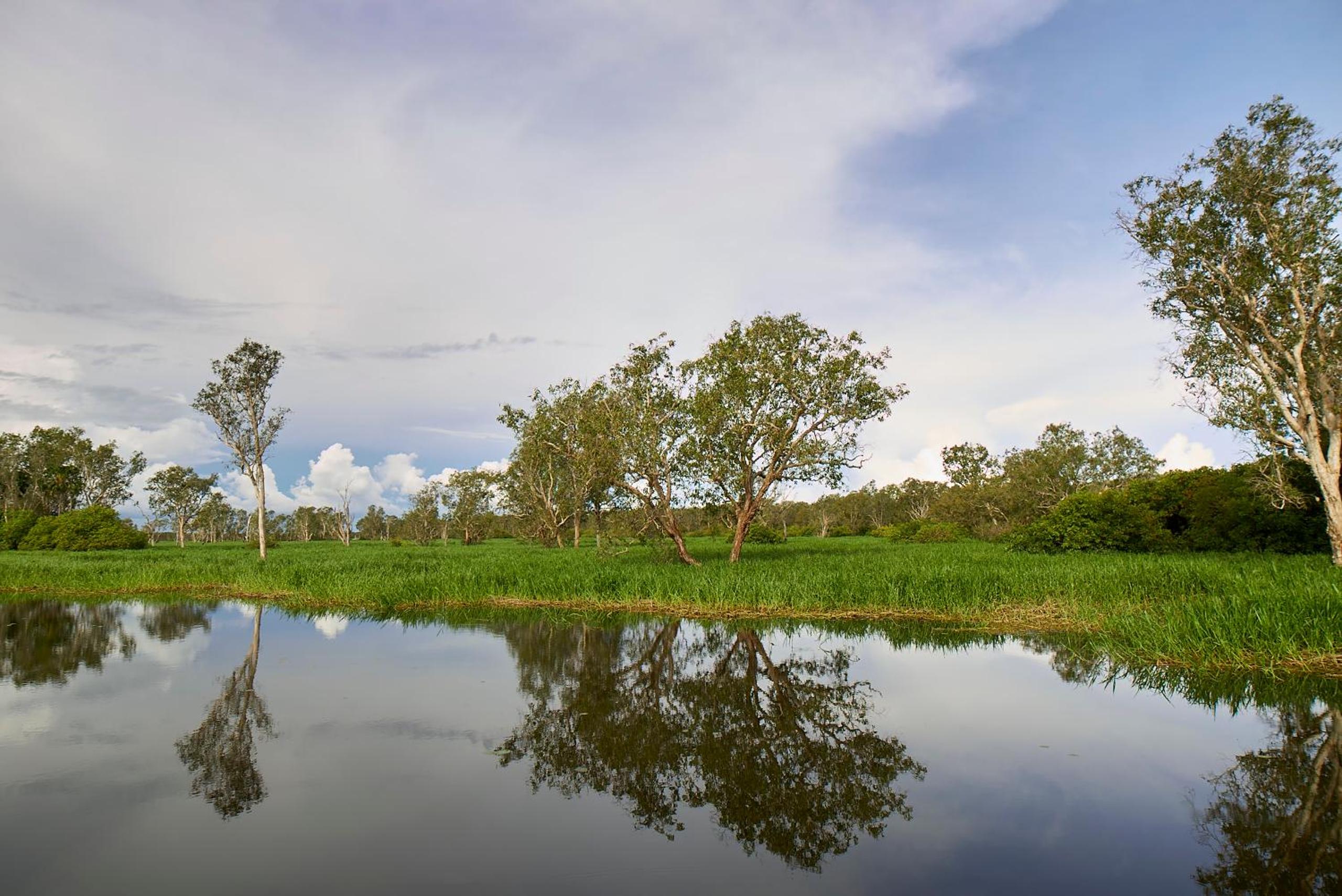 Cooinda Lodge Kakadu 72