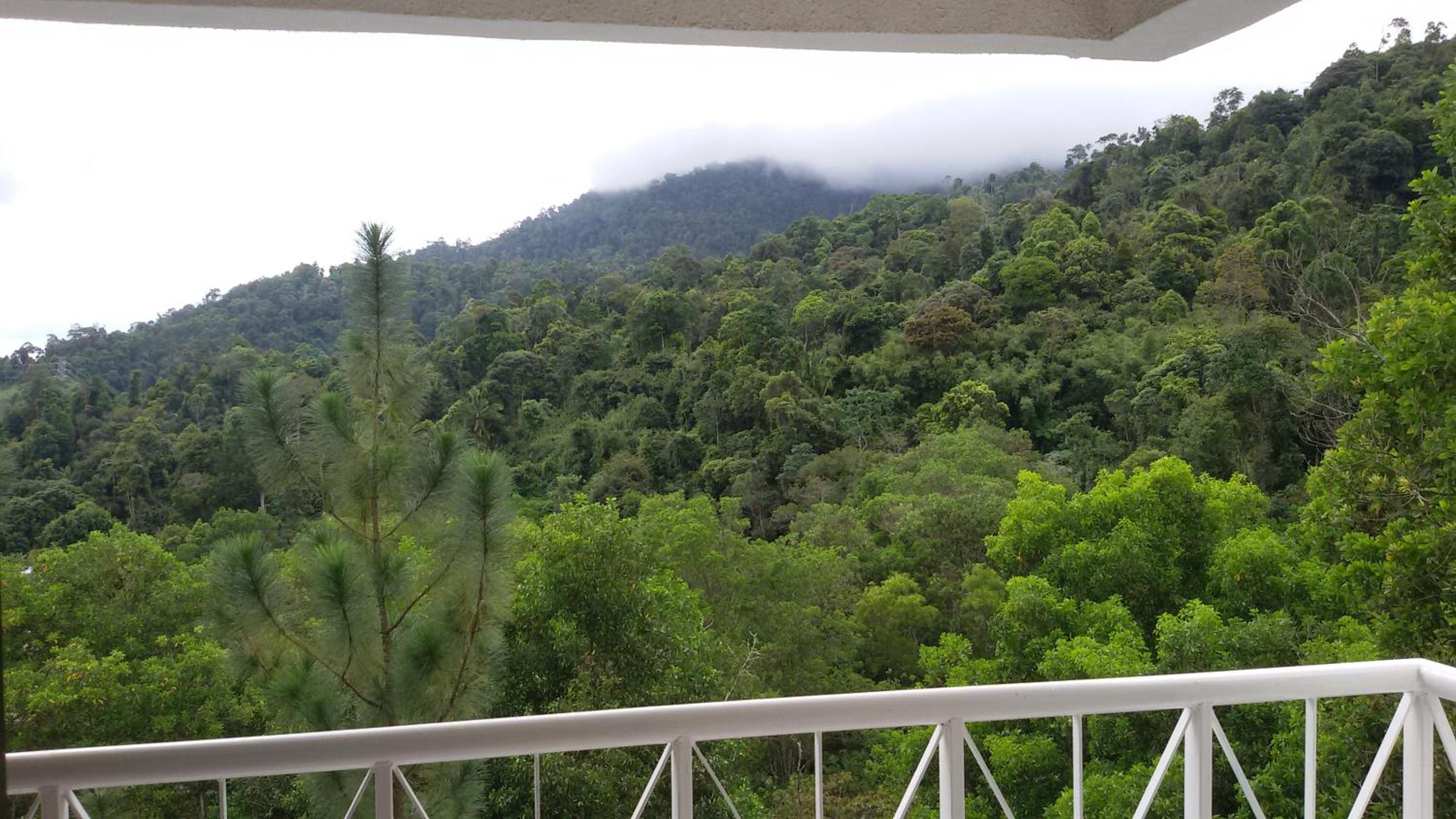 Genting Sempah Berjaya Hill Cottage photo 4