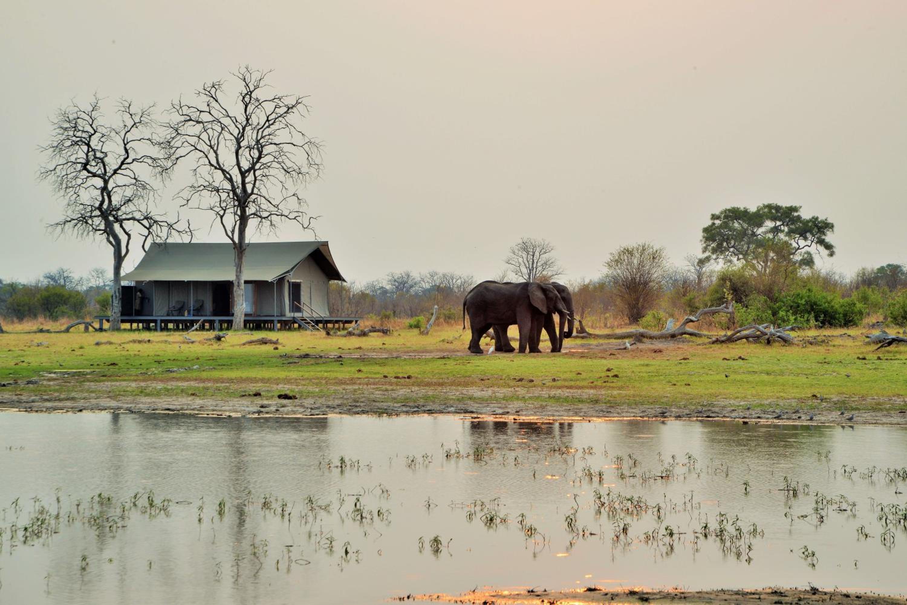 Nogatsaa Pans Chobe Lodge