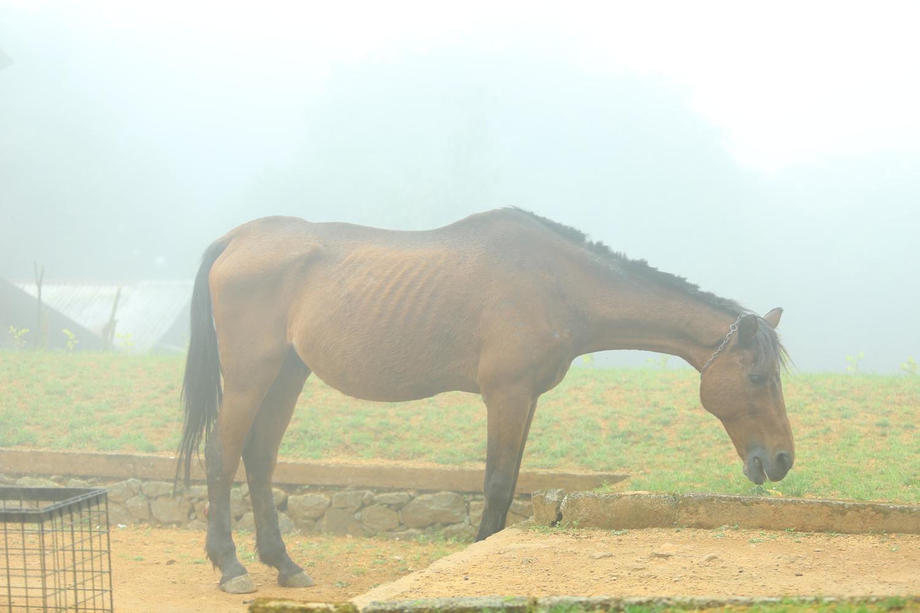 Vagamon Heights