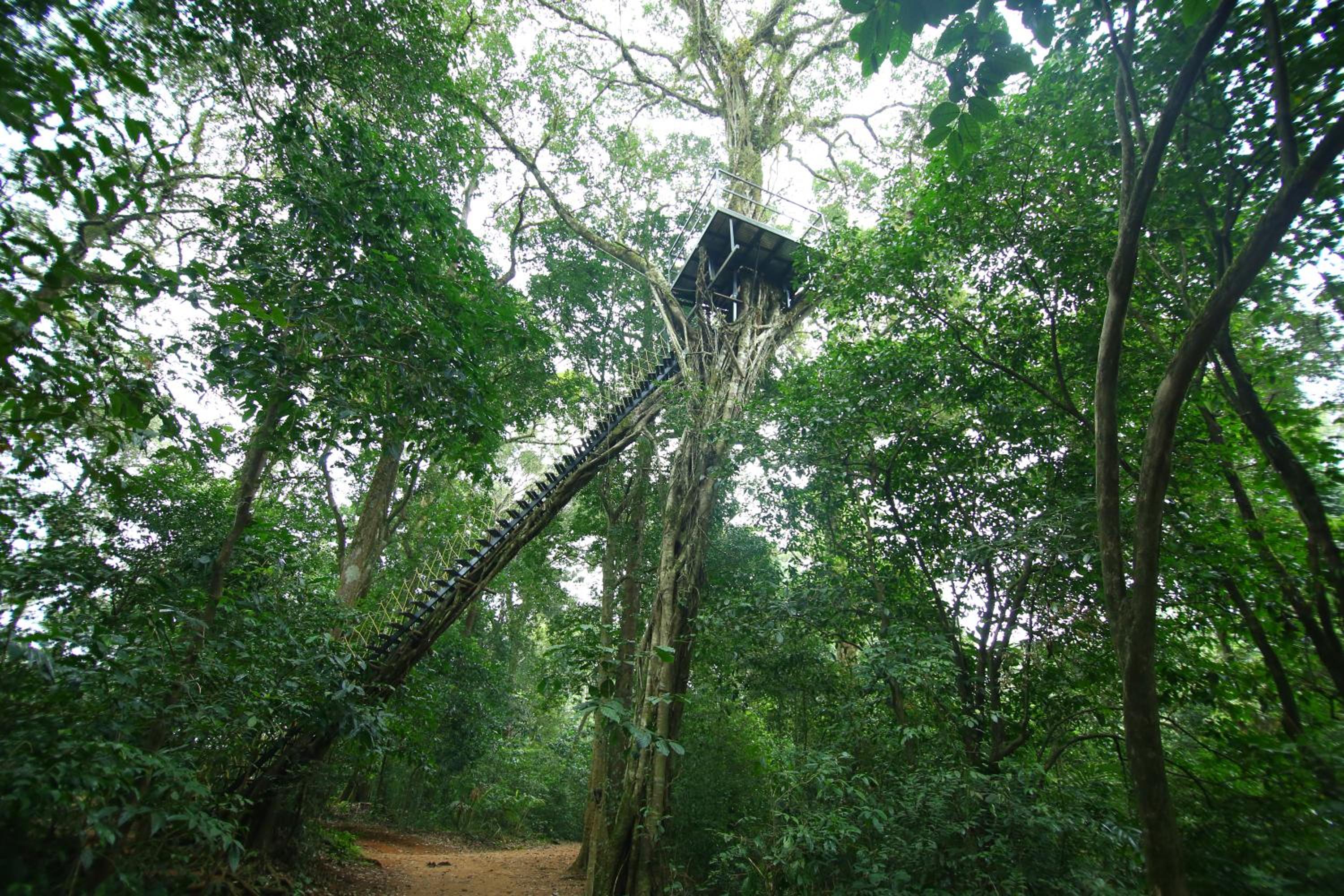 Vagamon Heights