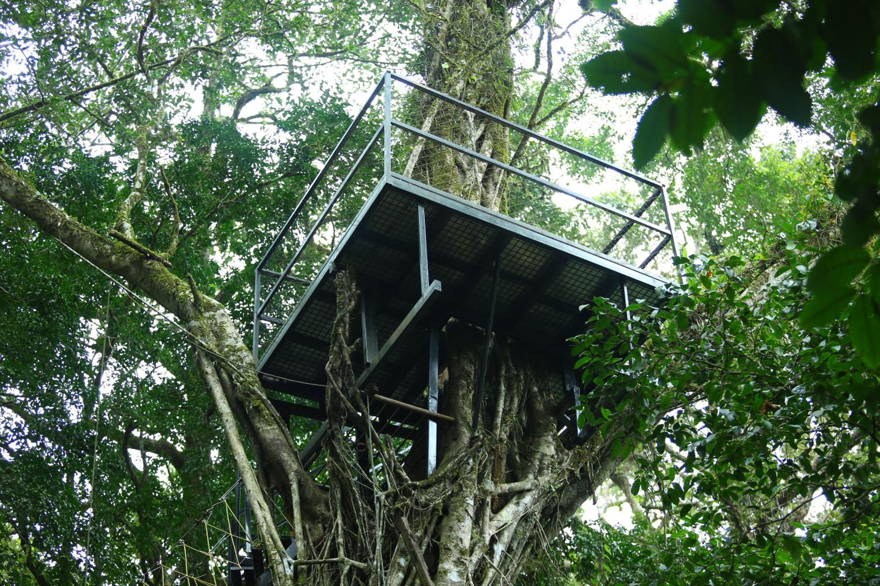 Vagamon Heights