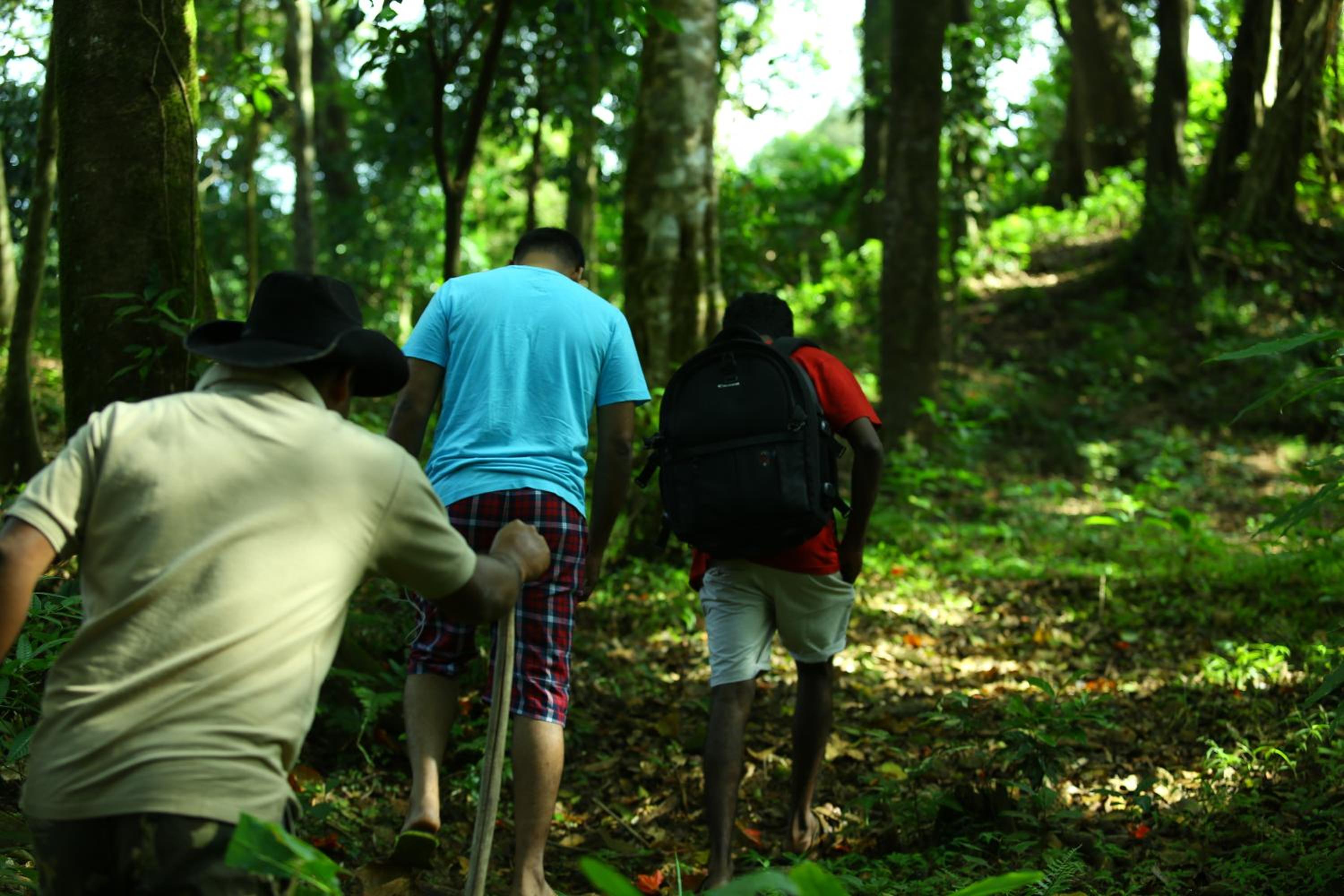 Vagamon Heights