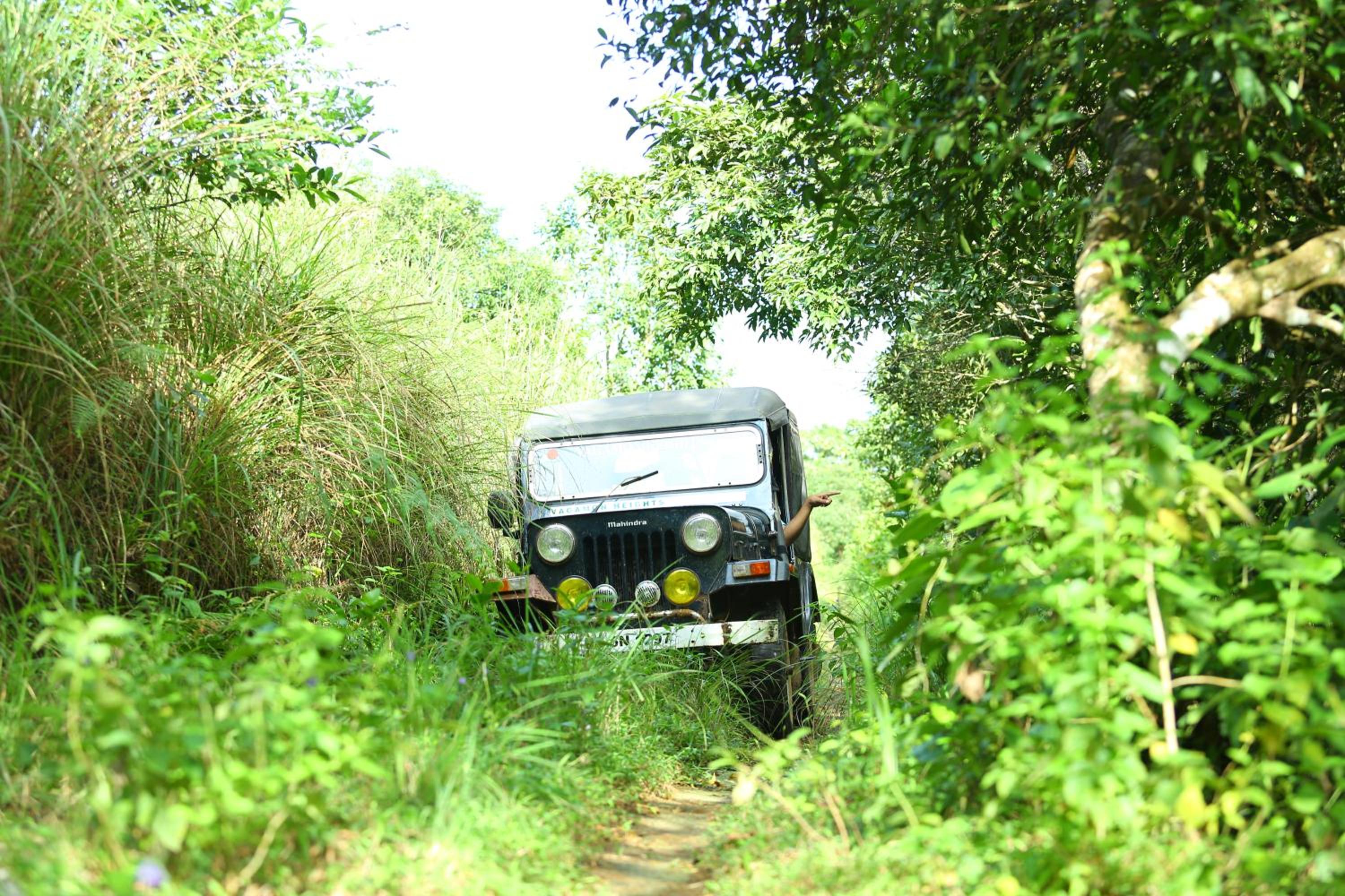 Vagamon Heights
