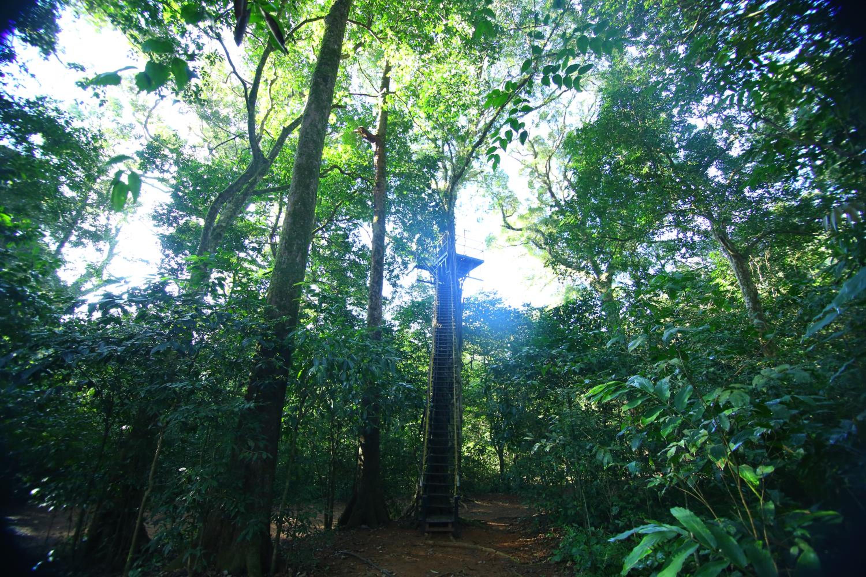Vagamon Heights
