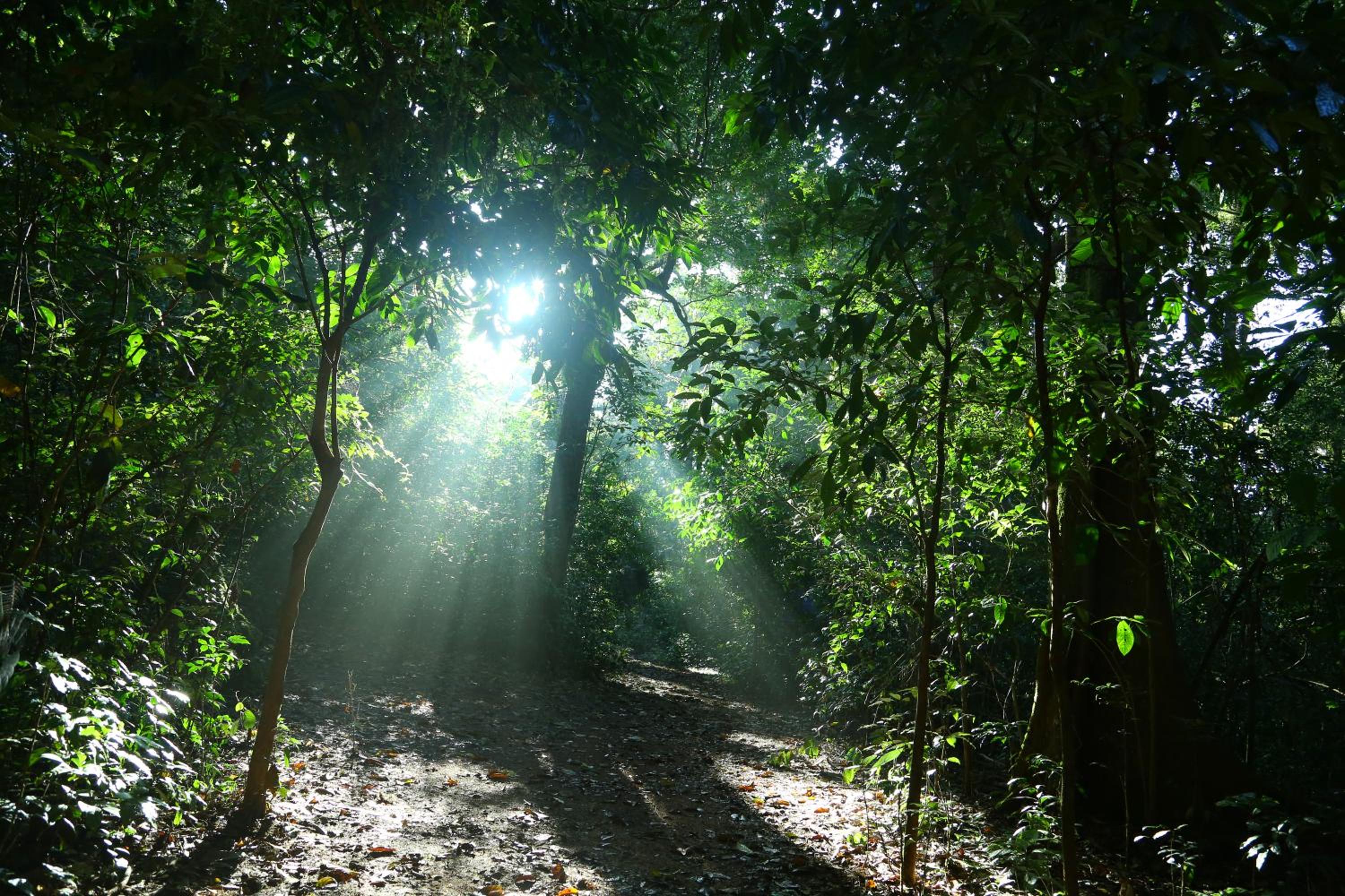 Vagamon Heights