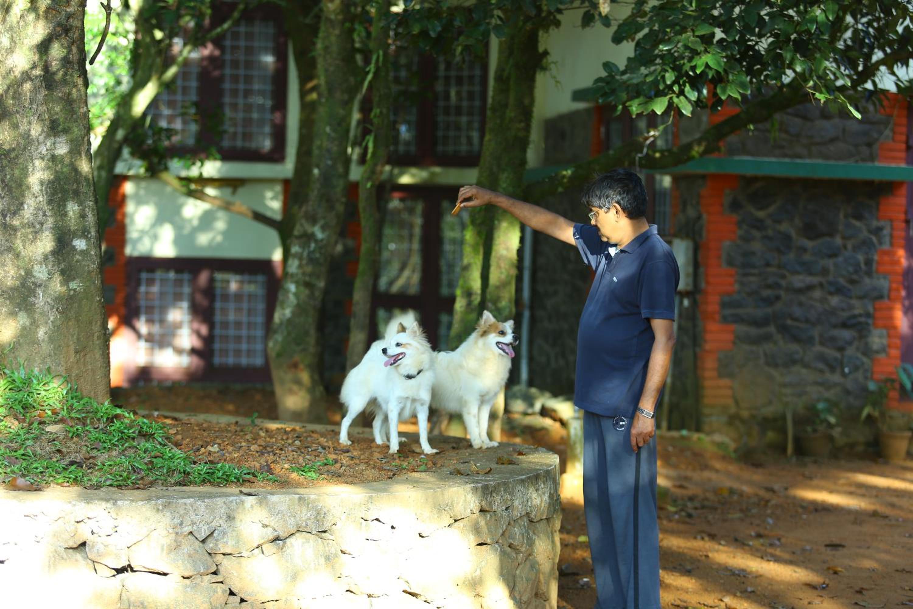 Vagamon Heights