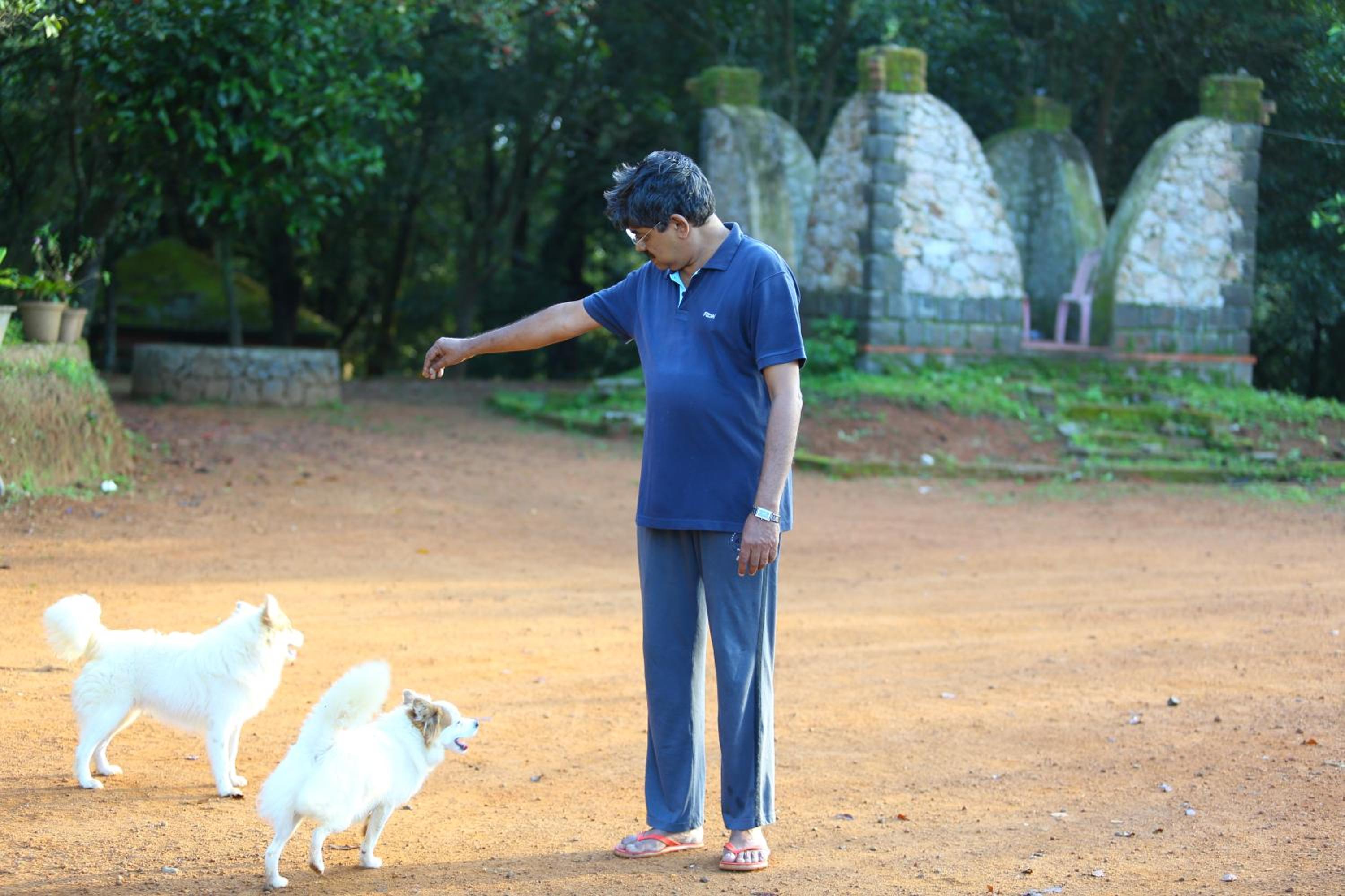 Vagamon Heights
