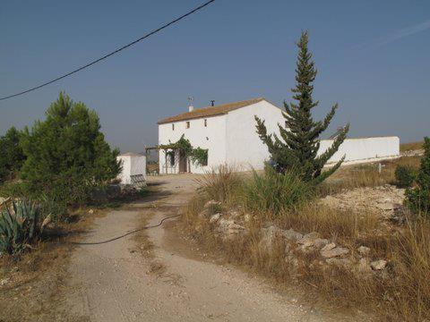 Photo 29
