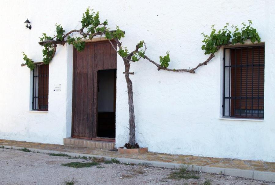 Casa Rural Casa Máxima view 4