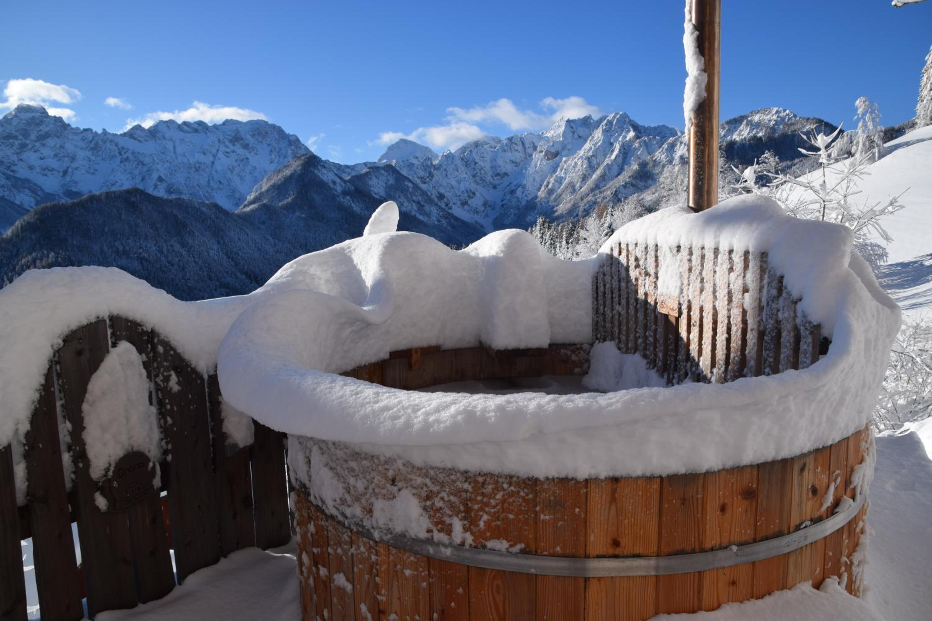 Holiday chalet "ALPINE DREAMS" with PRIVATE WELLNESS view 5